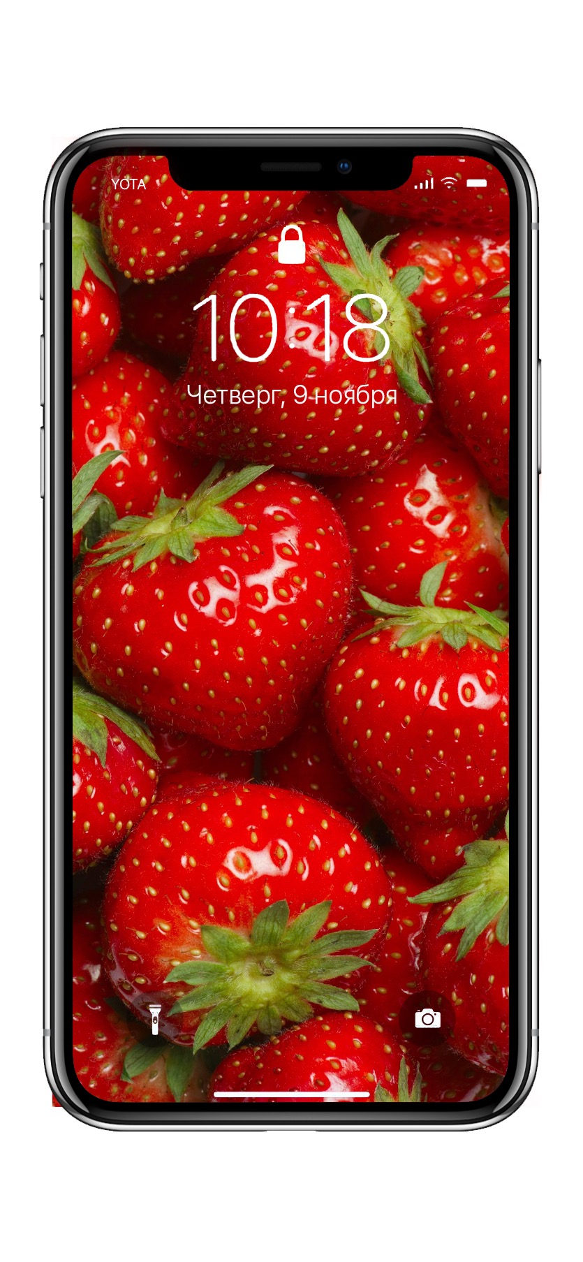 835x1807  10 ярких обоев iPhone с фруктами и ягодами
