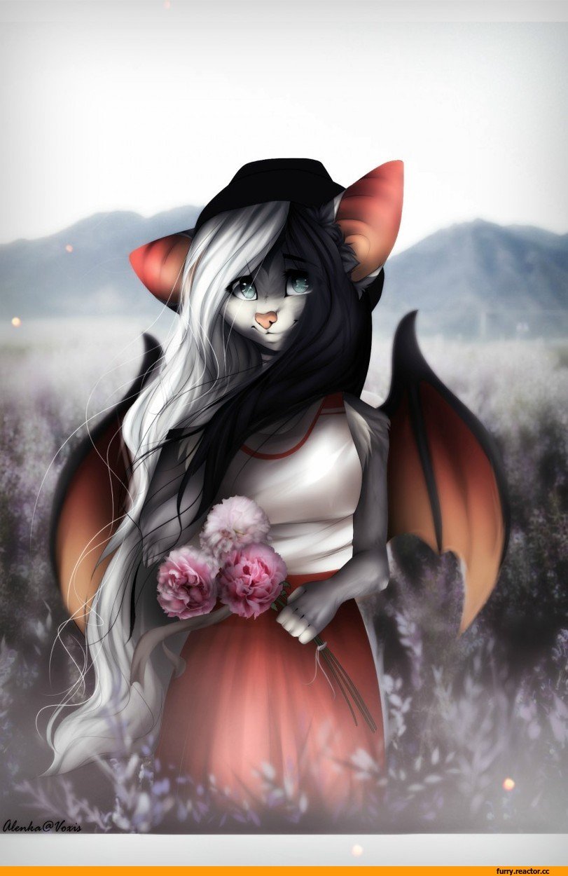 811x1250  Фурри арт - 61 фото