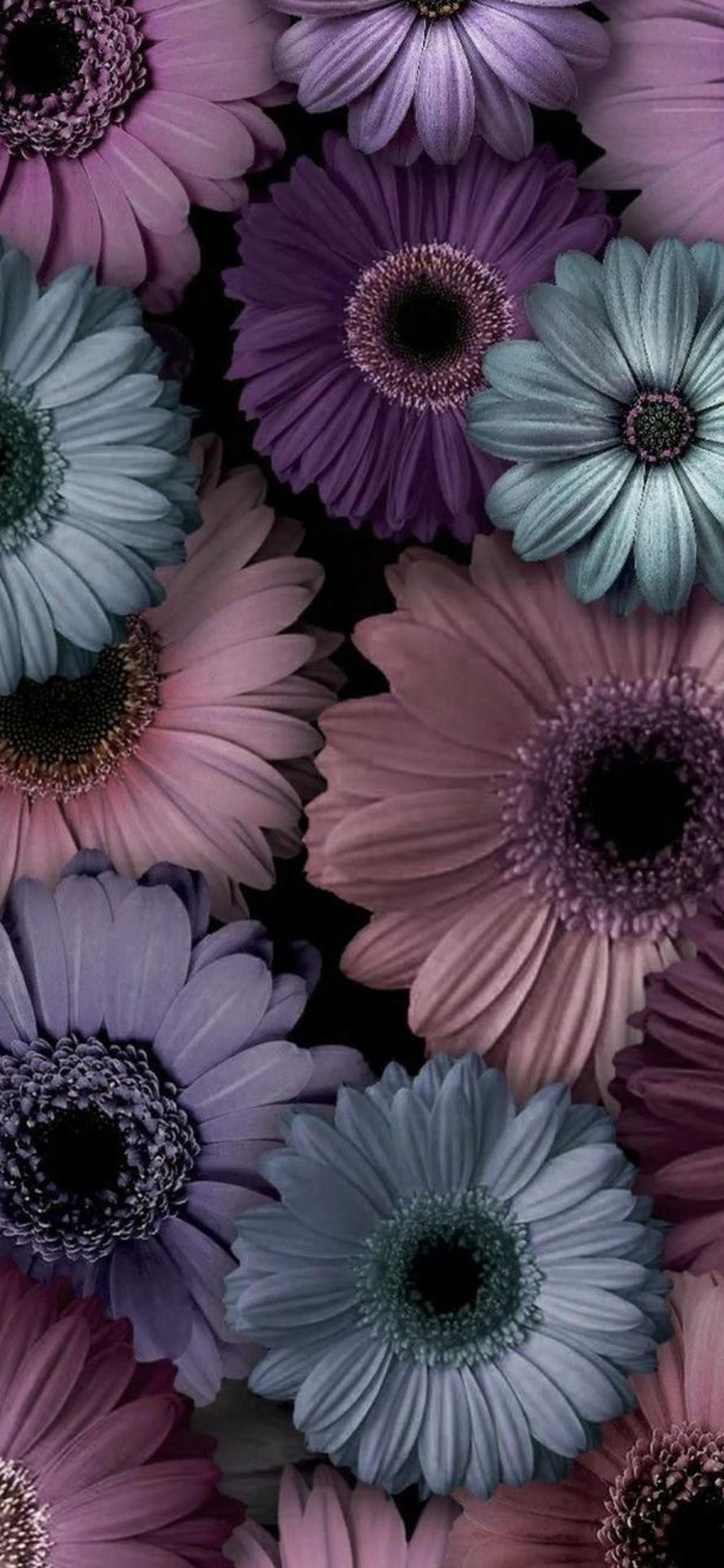 1284x2778  Скачать Хипстер Живые Обои HD [APK] v1.1.1 на Андроид бесплатно