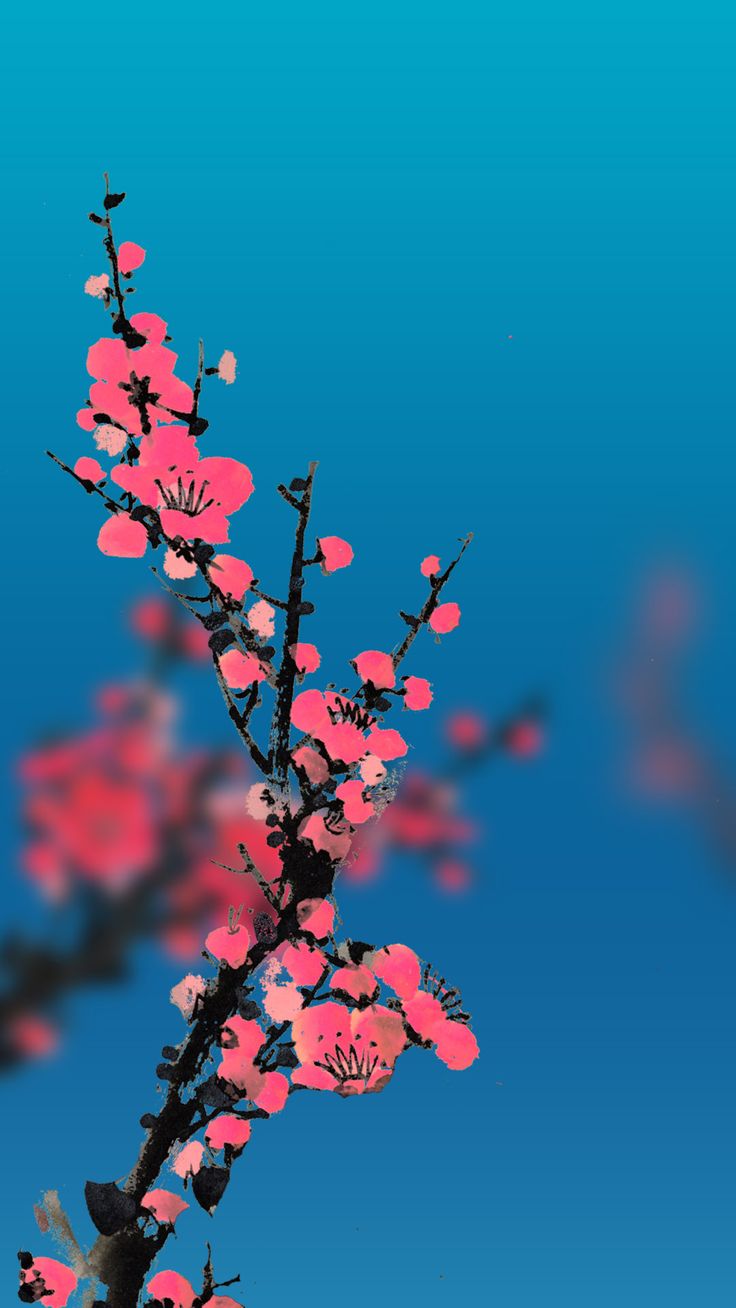 736x1308  Обои на телефон высокого качества вертикальные хуавей - фото и картинки  abrakadabra.fun