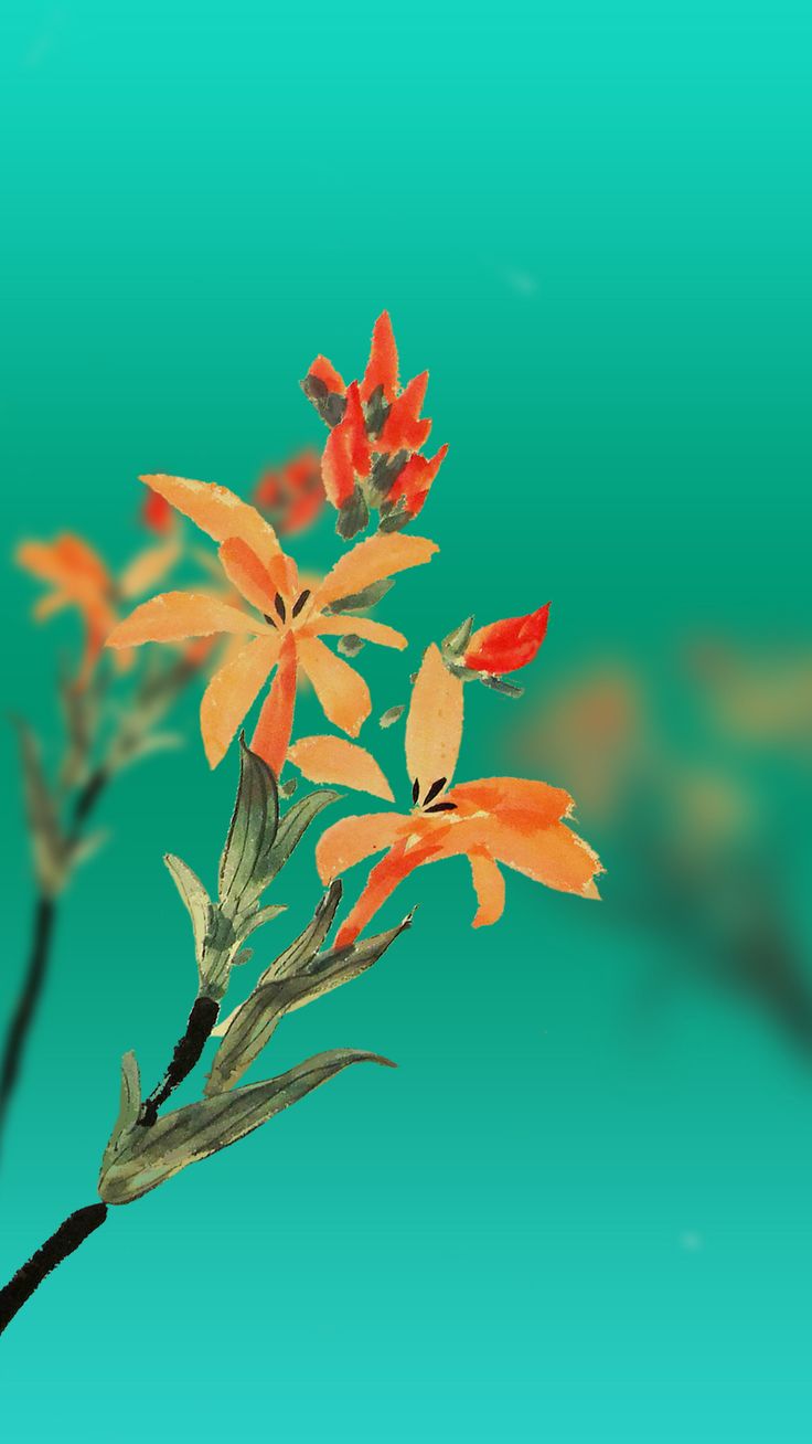 736x1308  Заводские заставки на хонор - фото и картинки abrakadabra.fun