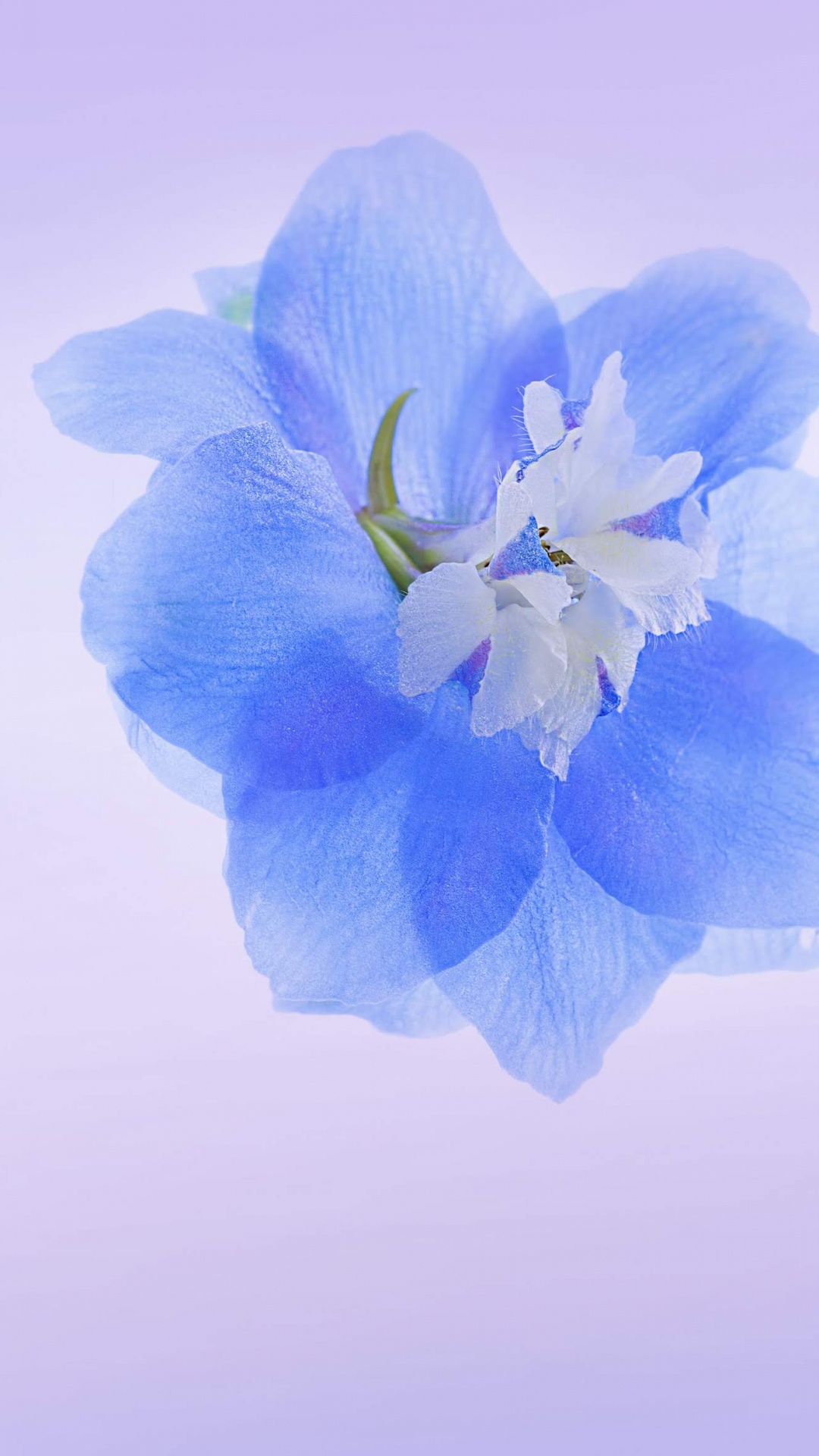 1080x1920  Honor 20 Pro Wallpaper (YTECHB Exclusive) | Watercolor wallpaper iphone,  Iphone wallpaper inspirational, Iphone wallpaper vintage