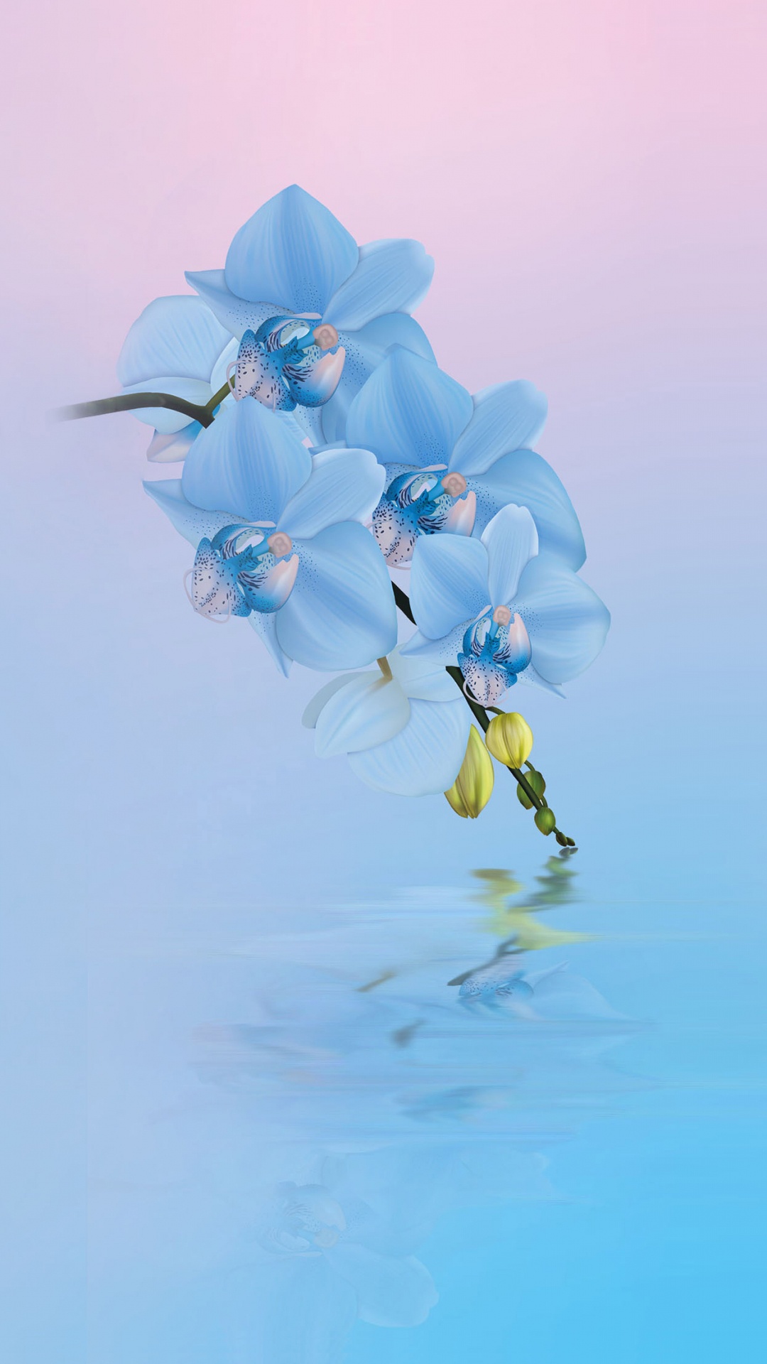 1080x1920  Apple İPhone 13 Mini / 13 (Moded). Обои для iphone, Милые обои, Фоны для  iphone, HD phone wallpaper | Peakpx