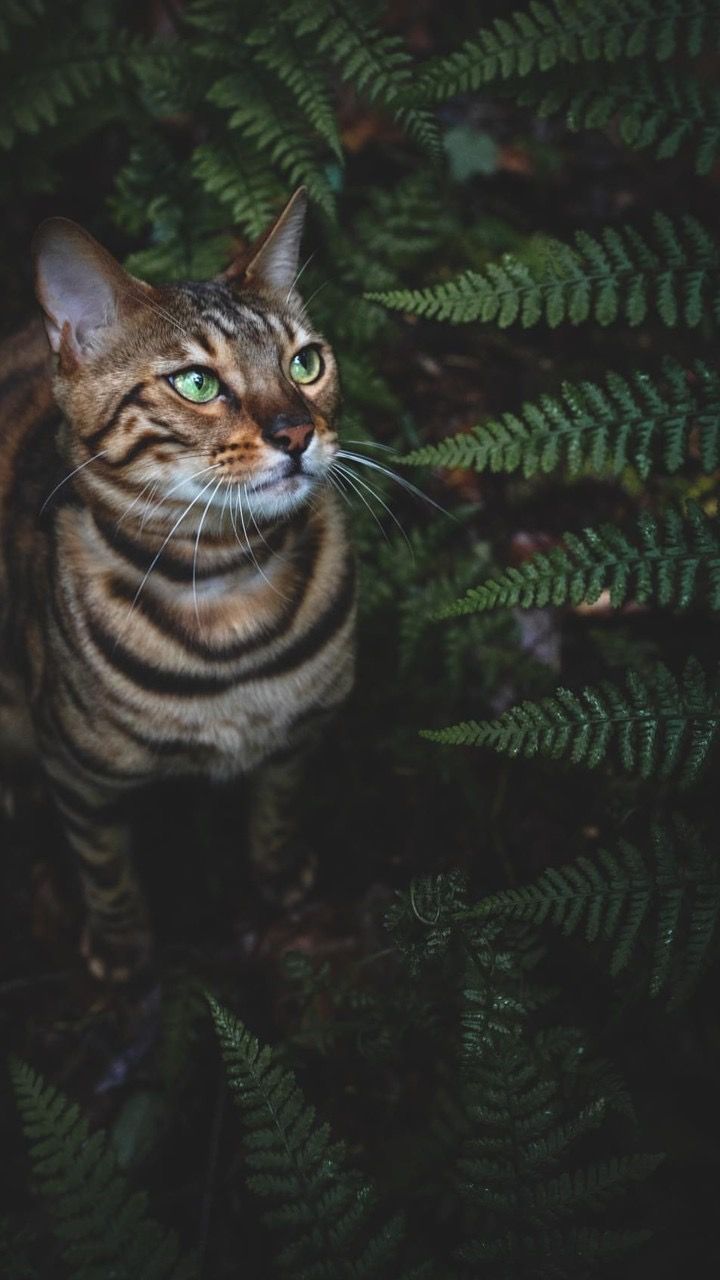 720x1280  Скачать обои \"Море\" на телефон в высоком качестве, вертикальные картинки  \"Море\" бесплатно