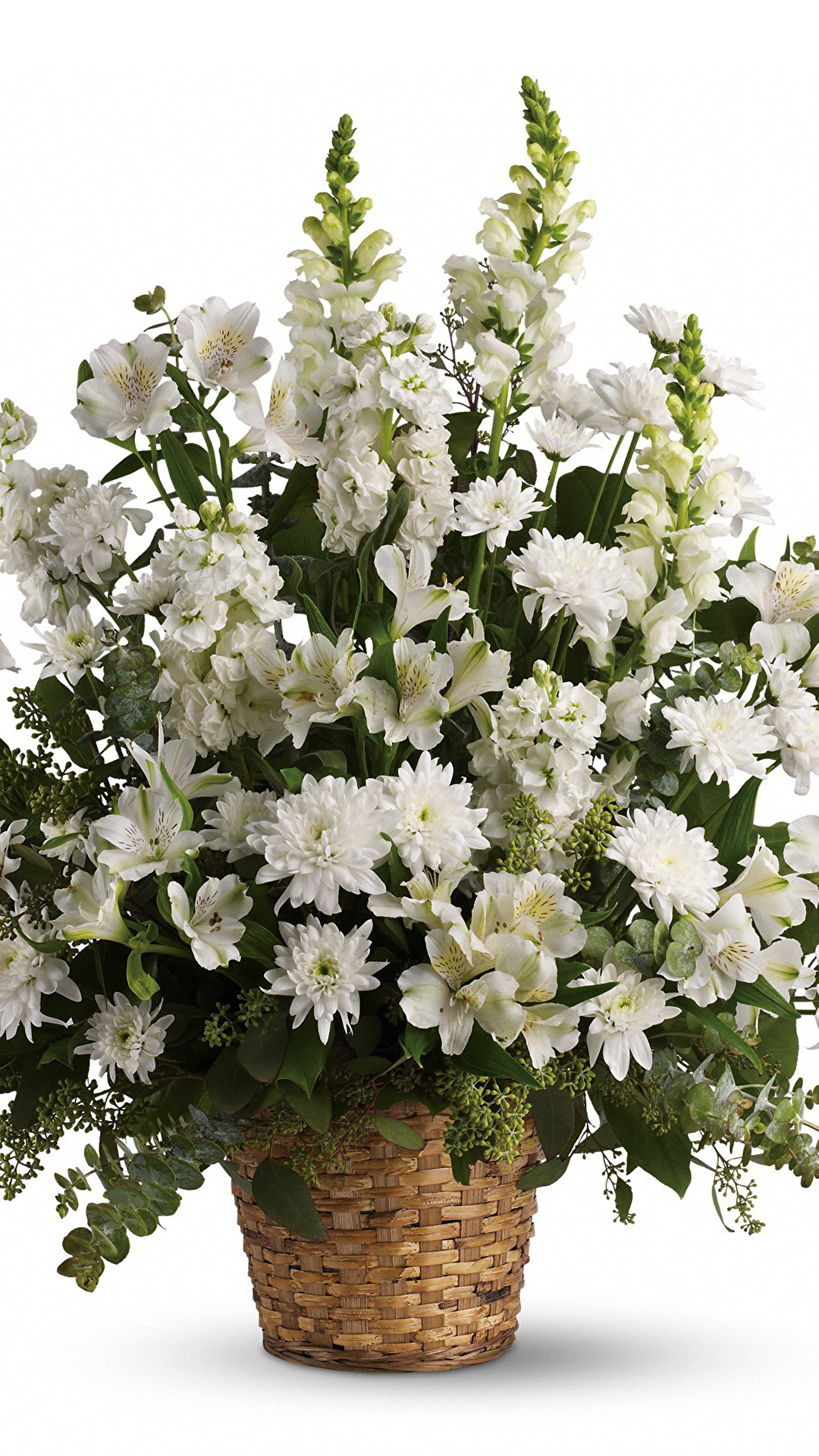 1080x1920  Картинка букет белая Цветы Корзина Антирринум Хризантемы 1080x1920