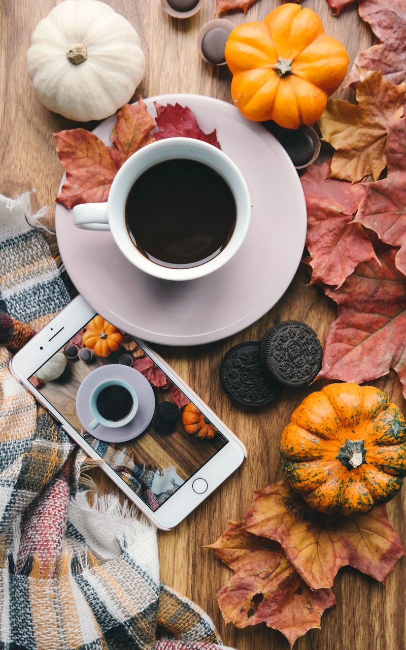 800x1280  Скачать 800x1280 кофе, телефон, тыквы, осень обои, картинки samsung galaxy  note gt-n7000, meizu mx2
