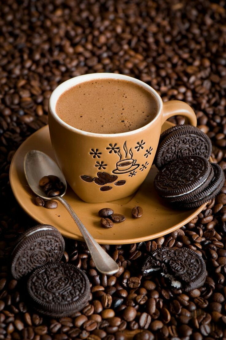 736x1105  Кофе | Пикабу