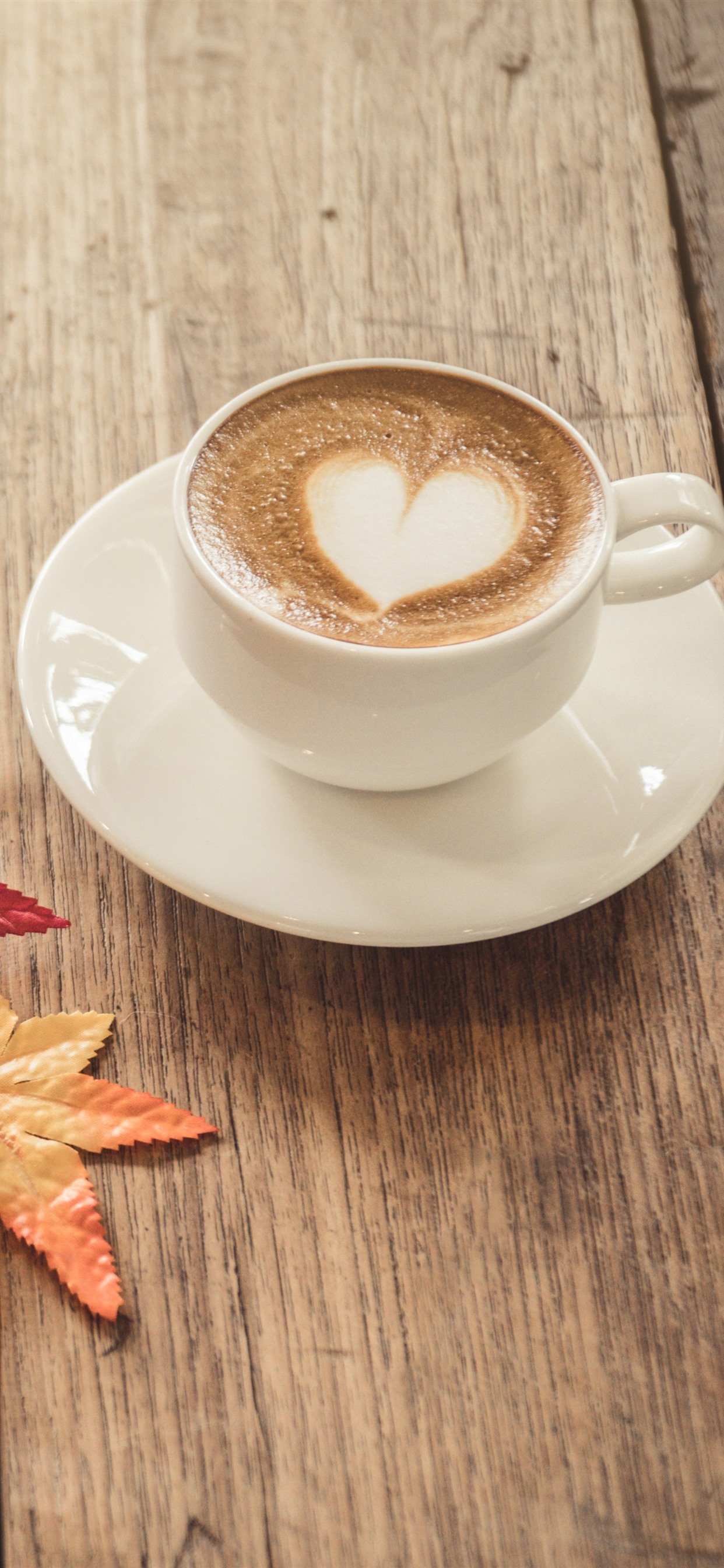 1242x2688  Обои Белая чашка, кофе, кленовые листья, древесная плита 1242x2688 iPhone  11 Pro/XS Max Изображение
