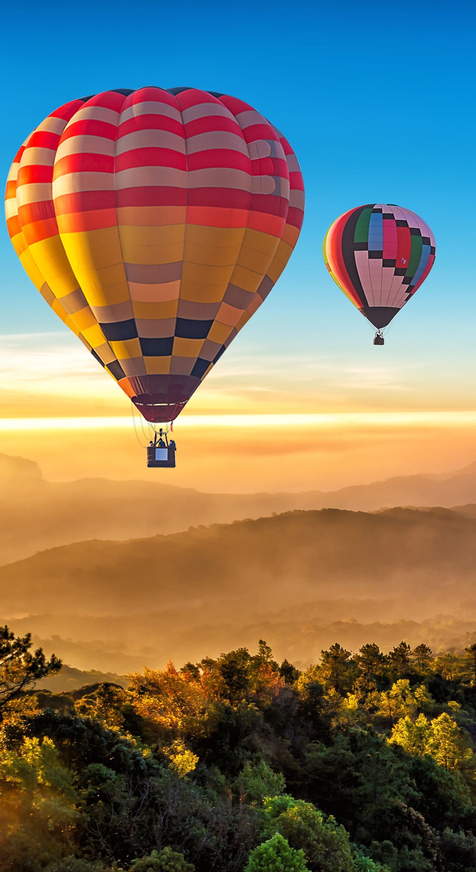 1579x2890  HD обои / HD Wallpaper | Hot air balloon rides, Hot air ballon, Hot air  balloon