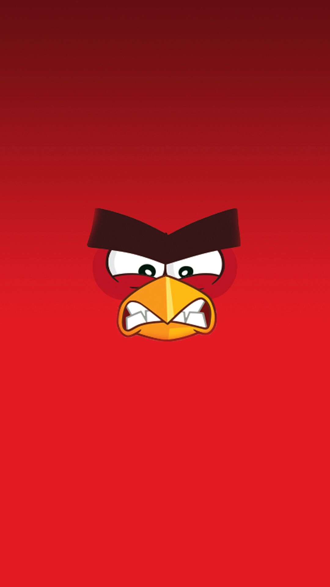 1080x1920  Angry Birds winter phone wallpapers for holidays - YouLoveIt.com