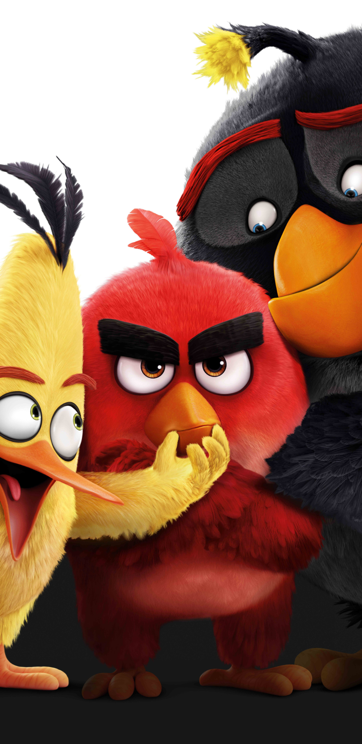 720x1480  Download \"The Angry Birds Movie\" wallpapers for mobile phone, free \"The Angry  Birds Movie\" HD pictures