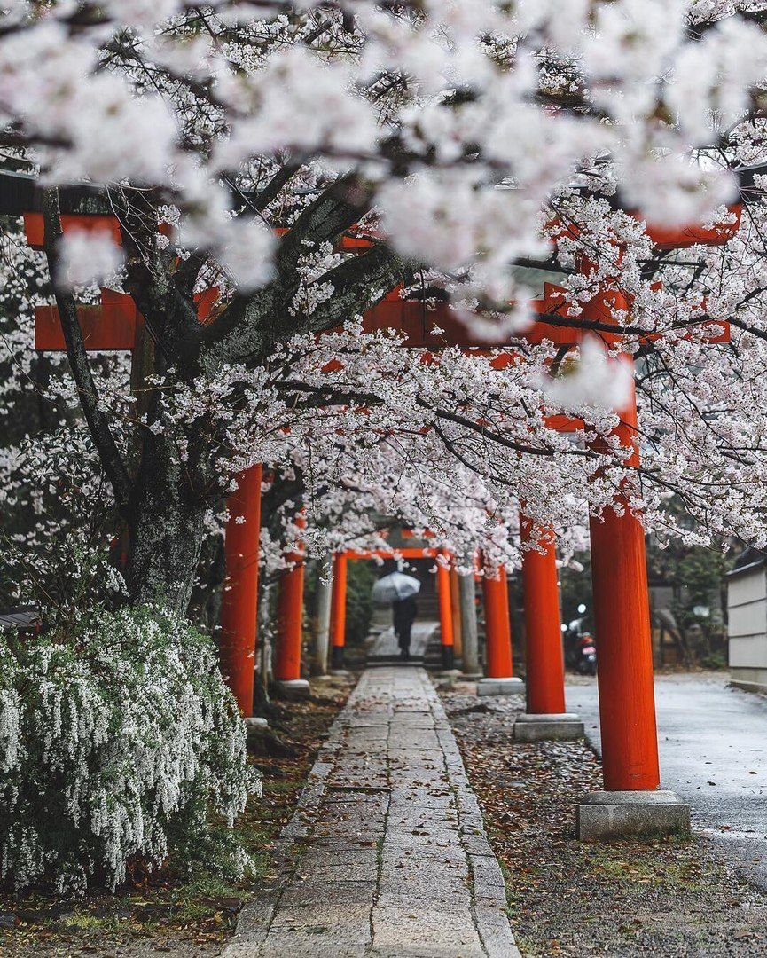 865x1080  Обои на телефон: Южная Корея, Seoul, South Korea, Азии, Сеул, Korea, Город,  Огни Города, Города, Ночь, Корея, Азия, 141344 скачать картинку бесплатно.