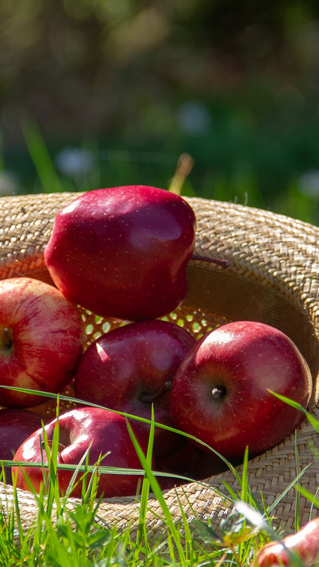 1080x1920  Картинка Шляпа красная Яблоки Еда траве 1080x1920