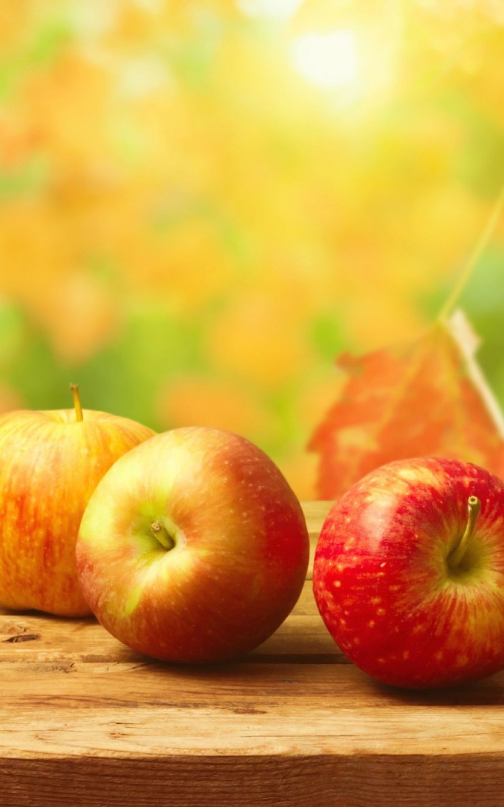 1000x1600  Autumn Apples Wood Table Android Wallpaper | Fall apples, Apple, Apple fruit