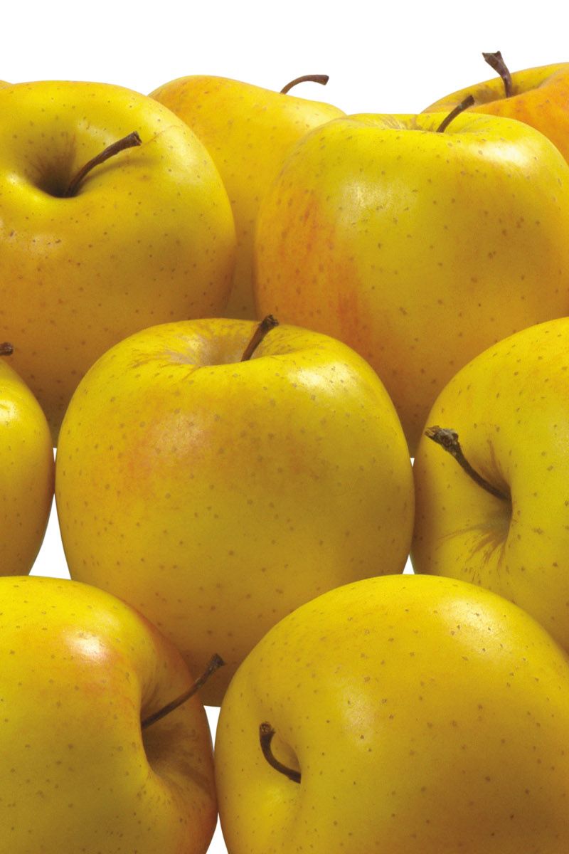 800x1200  Скачать 800x1200 яблоки, желтые, вкусные, фрукты, полезные обои, картинки  iphone 4s/4 for parallax