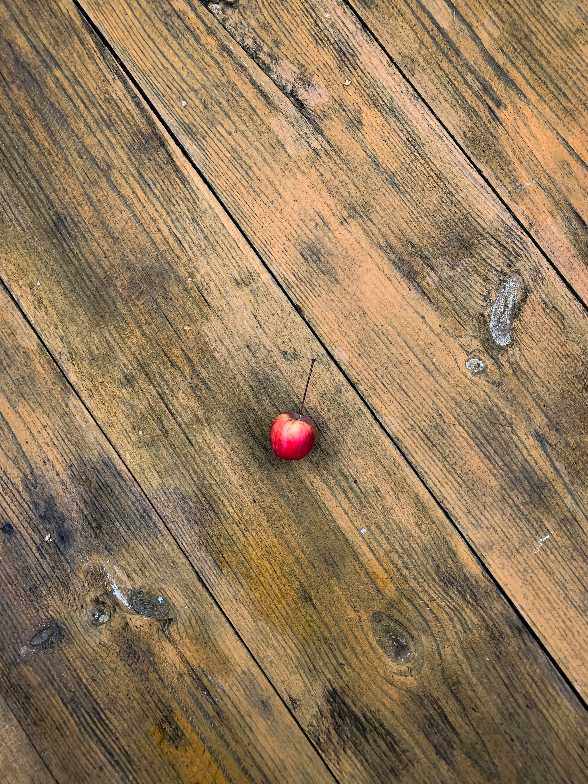 2048x2731  Обоину запилил) | Пикабу