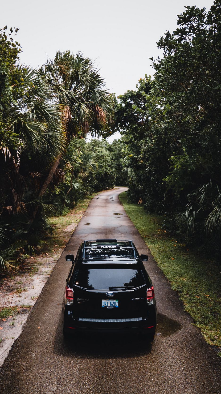 938x1668  Скачать 938x1668 subaru forester, subaru, автомобиль, вид сзади, дорога обои,  картинки iphone 8/7/6s/6 for parallax