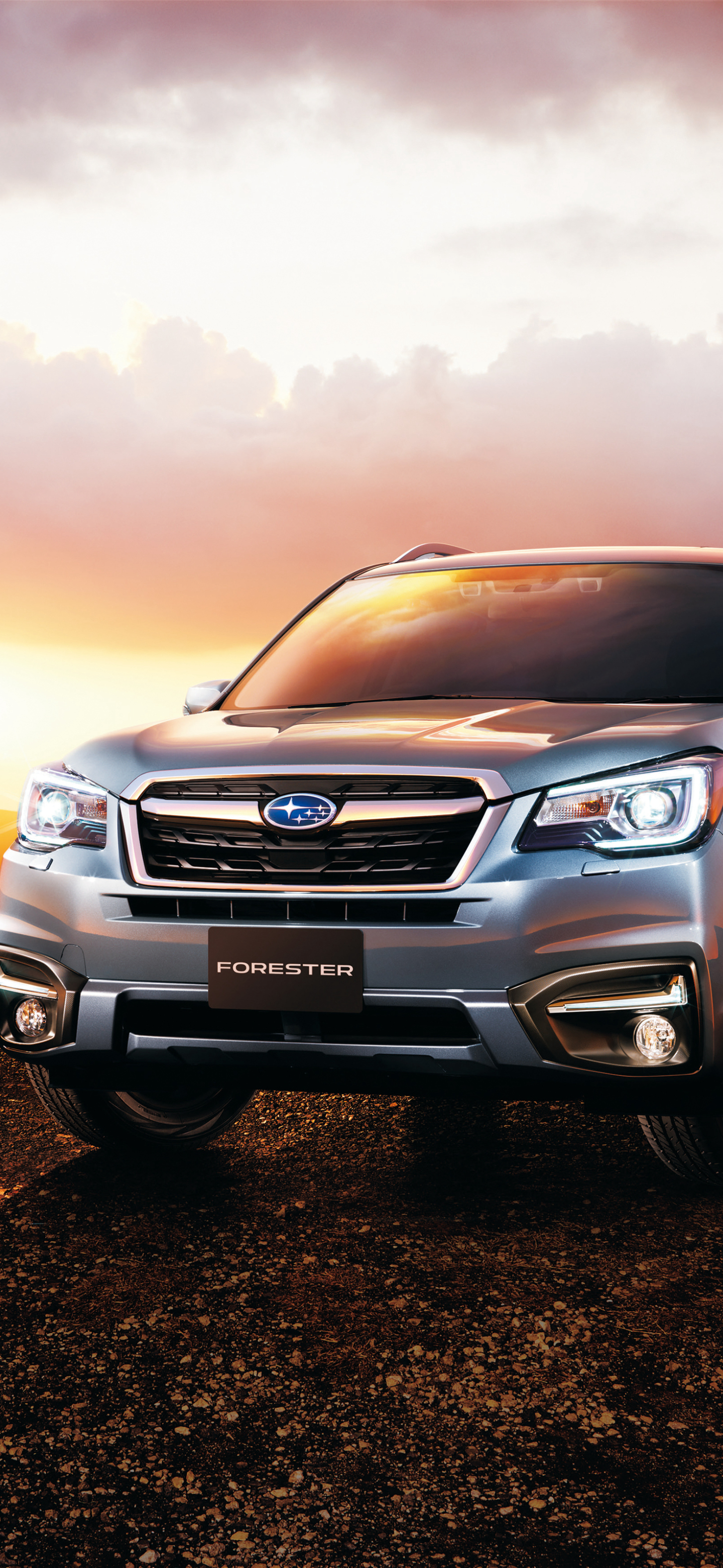 1440x3120  Subaru Forester wallpapers for desktop, download free Subaru Forester  pictures and backgrounds for PC | mob.org