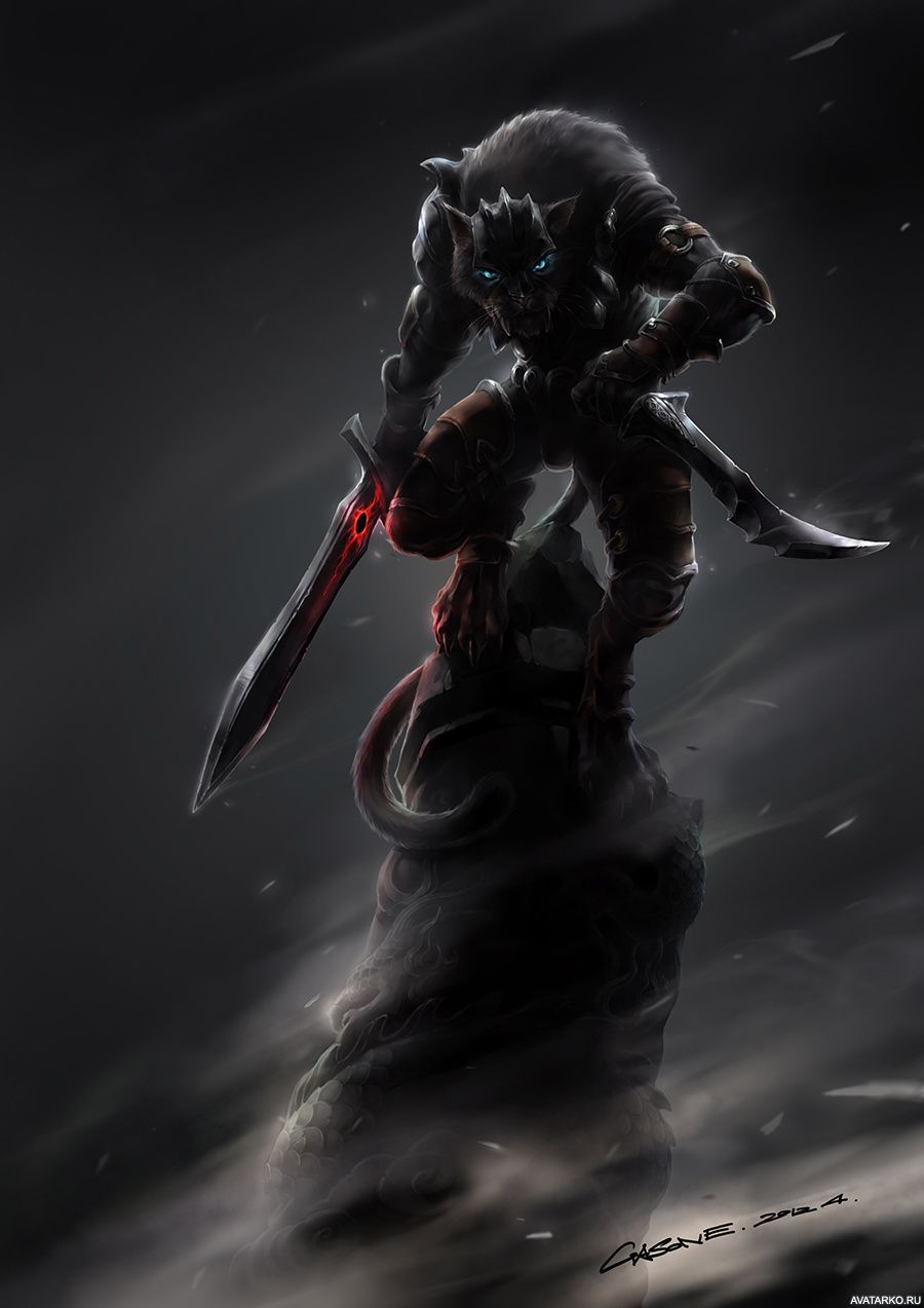 900x1273  Каджит с мечами забрался на высокий выступ — Фотографии на аву | Оборотни,  Фотографии, Фантастика