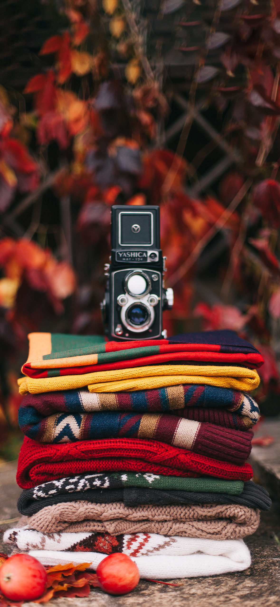 1179x2556  Обои на телефон: осень 2023