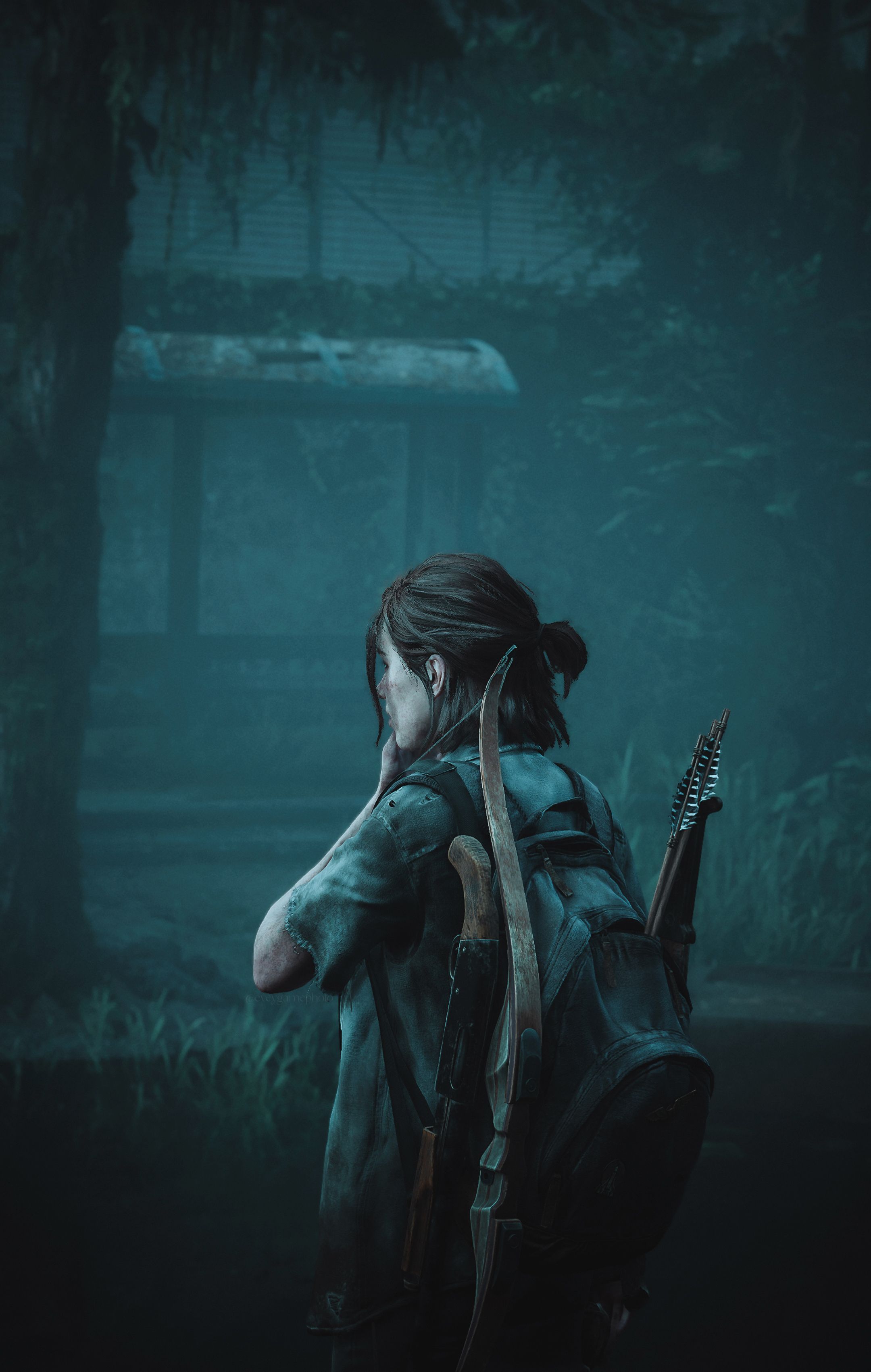 2160x3402  Идеи на тему «The last of us» (82) в 2023 г | игровые арты, ласты,  постапокалипсис