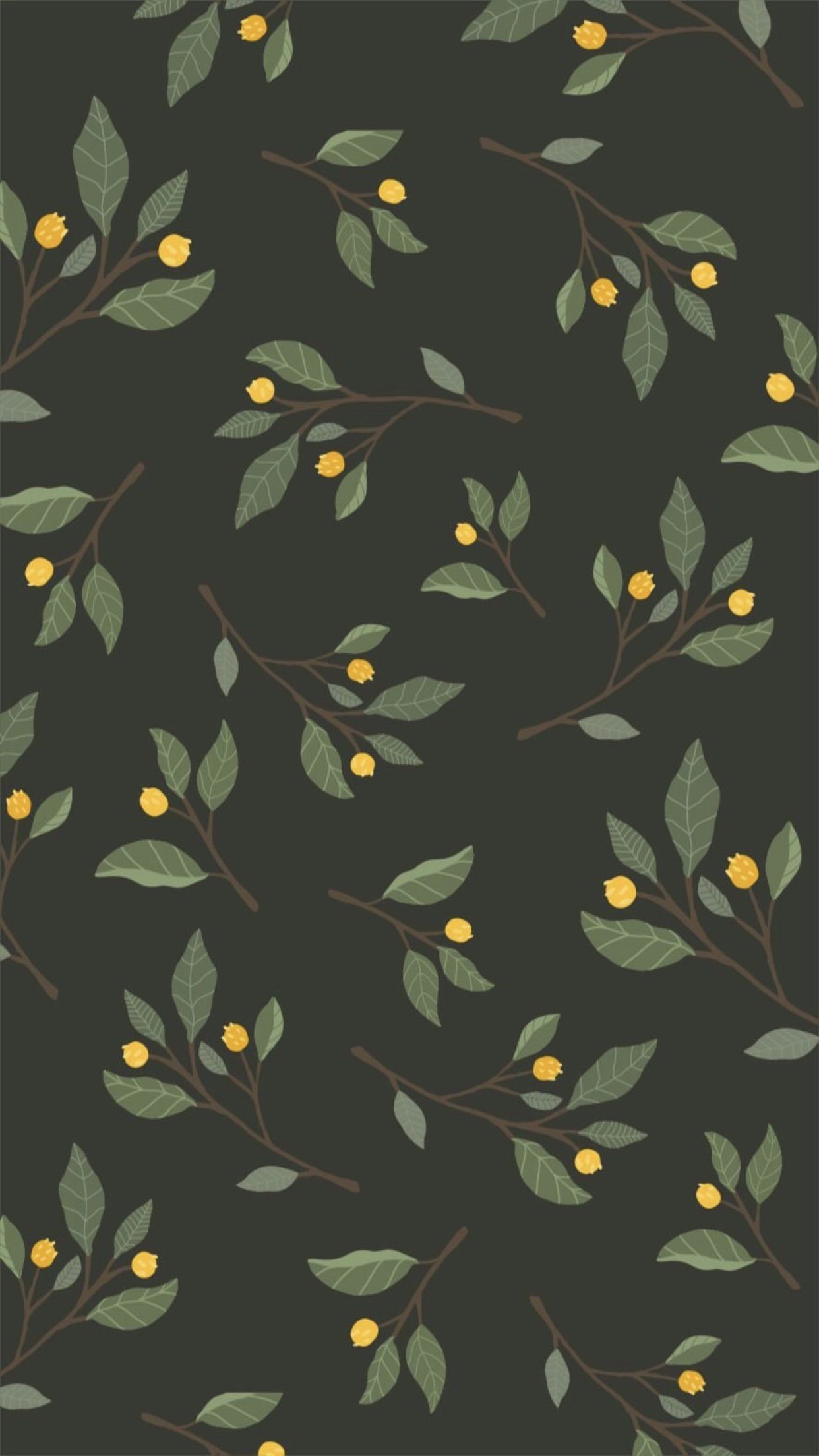 1242x2208  Обои на телефон «Ботаника» | Homescreen wallpaper, Iphone homescreen  wallpaper, Wallpaper