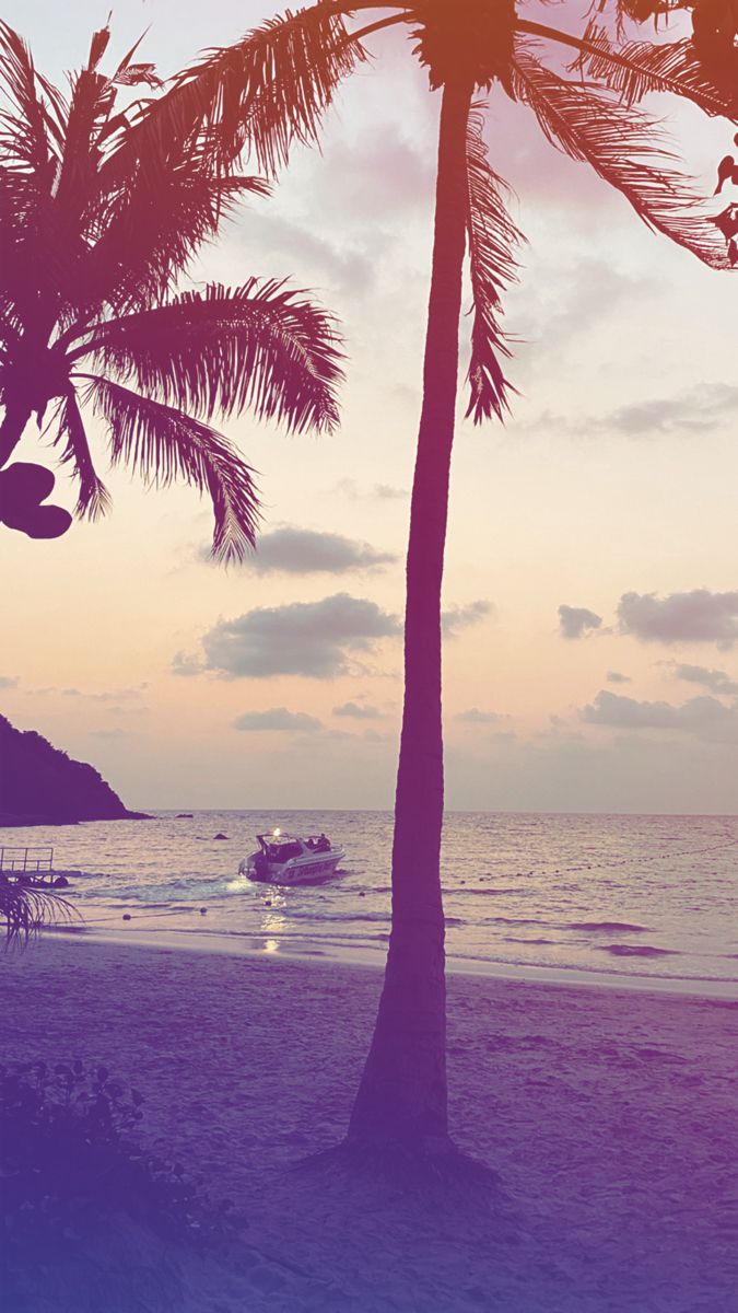 675x1200  Заставка на фон телефона с пальмами и морем . Фотофон | Закаты, Фотообои,  Заставка