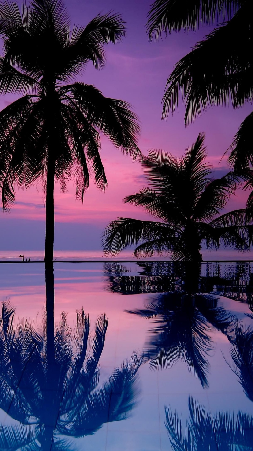 1080x1920  Обои Пальма, пальмовые рощи, природа, дерево, тропическая зона на телефон  Android, 1080x1920 картинки и фото бесплатно