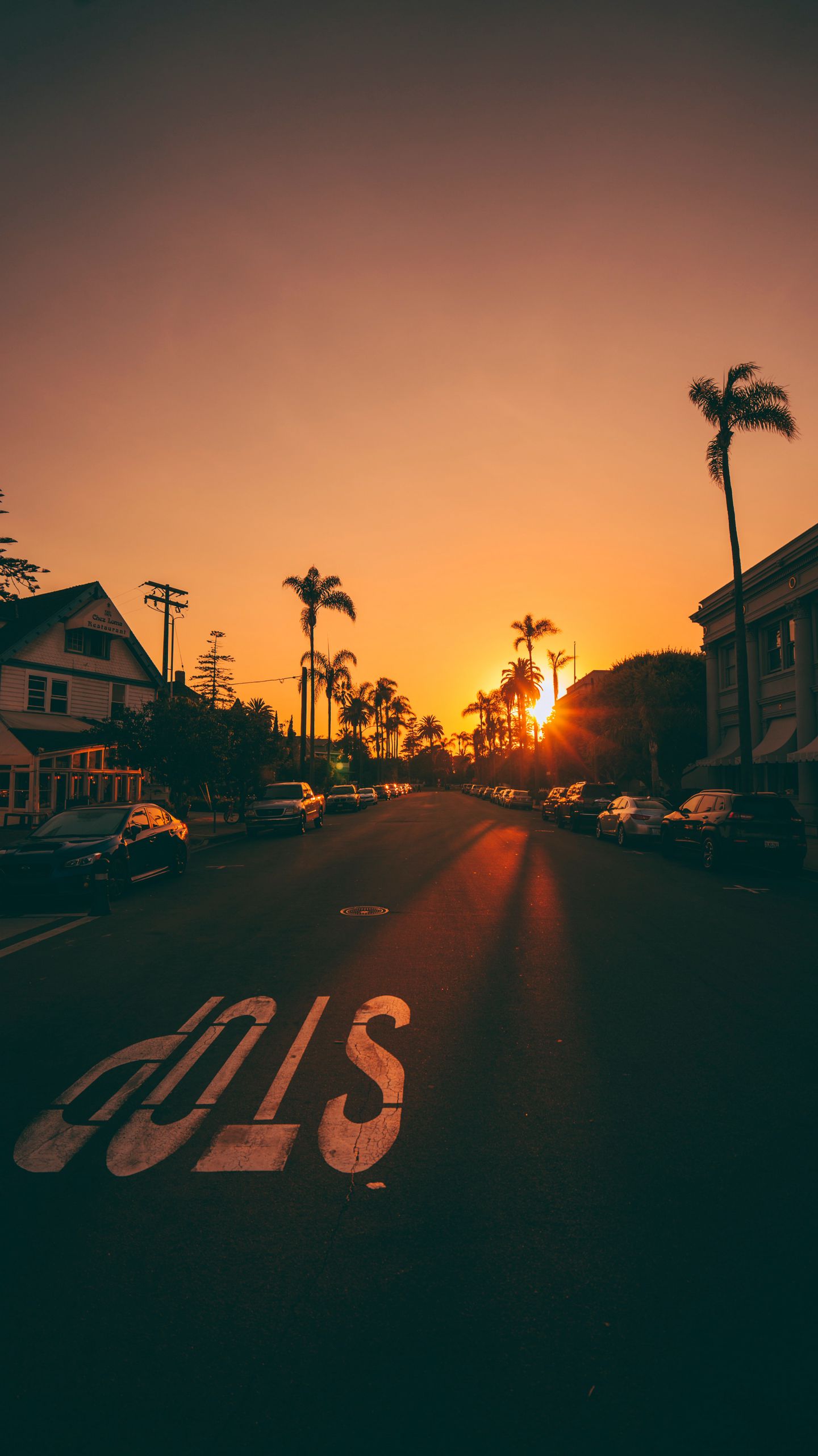 1440x2560  Скачать 1440x2560 улица, закат, пальмы, дорога, разметка, автомобили обои,  картинки qhd samsung galaxy s6, s7, edge, note, lg g4