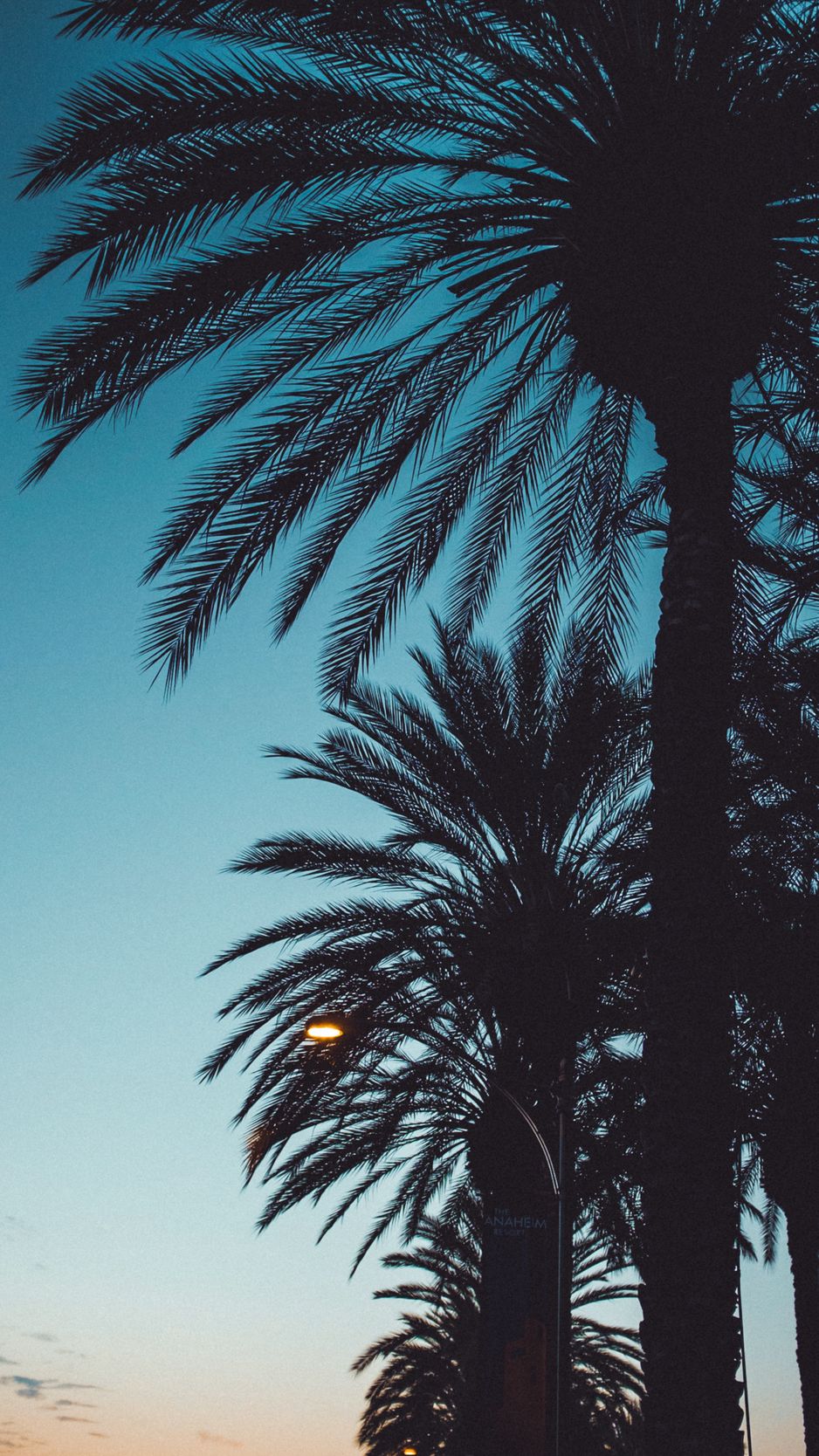 938x1668  Скачать 938x1668 пальмы, закат, деревья, листья, силуэты, небо обои,  картинки iphone 8/7/6s/6 for parallax