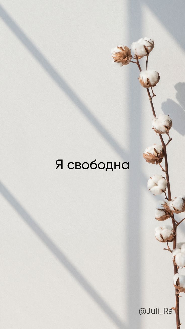 736x1308  Обои на телефон. Фон. Мотивационные картинки в 2023 г | Мотивационные  картинки, Пейзажи, Фоновые узоры