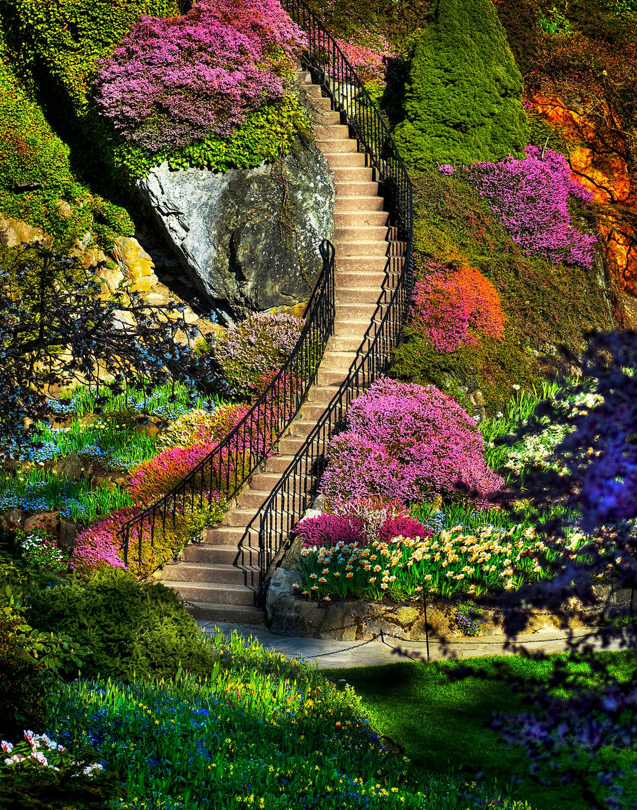 1257x1600  Лестница в Сад - Фотообои по Вашим размерам на стену в интернет магазине  arte.ru. Заказать обои Лестница в Сад - (11343)