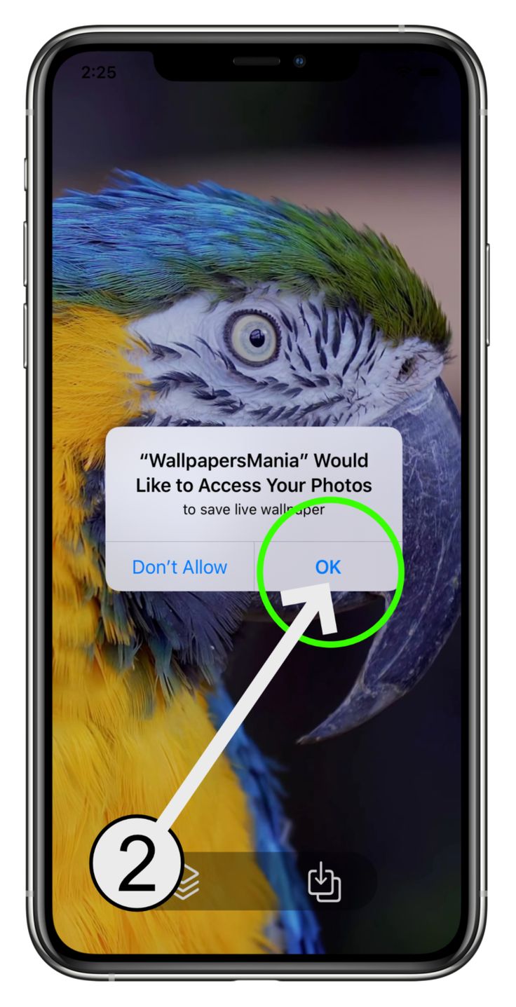 736x1437  How To Set Live Wallpaper | WallpapersMania Live Wallpaper - Parallax 4D,  GIF and Video Wallpapers | Live wallpapers, Live wallpaper iphone, Wallpaper