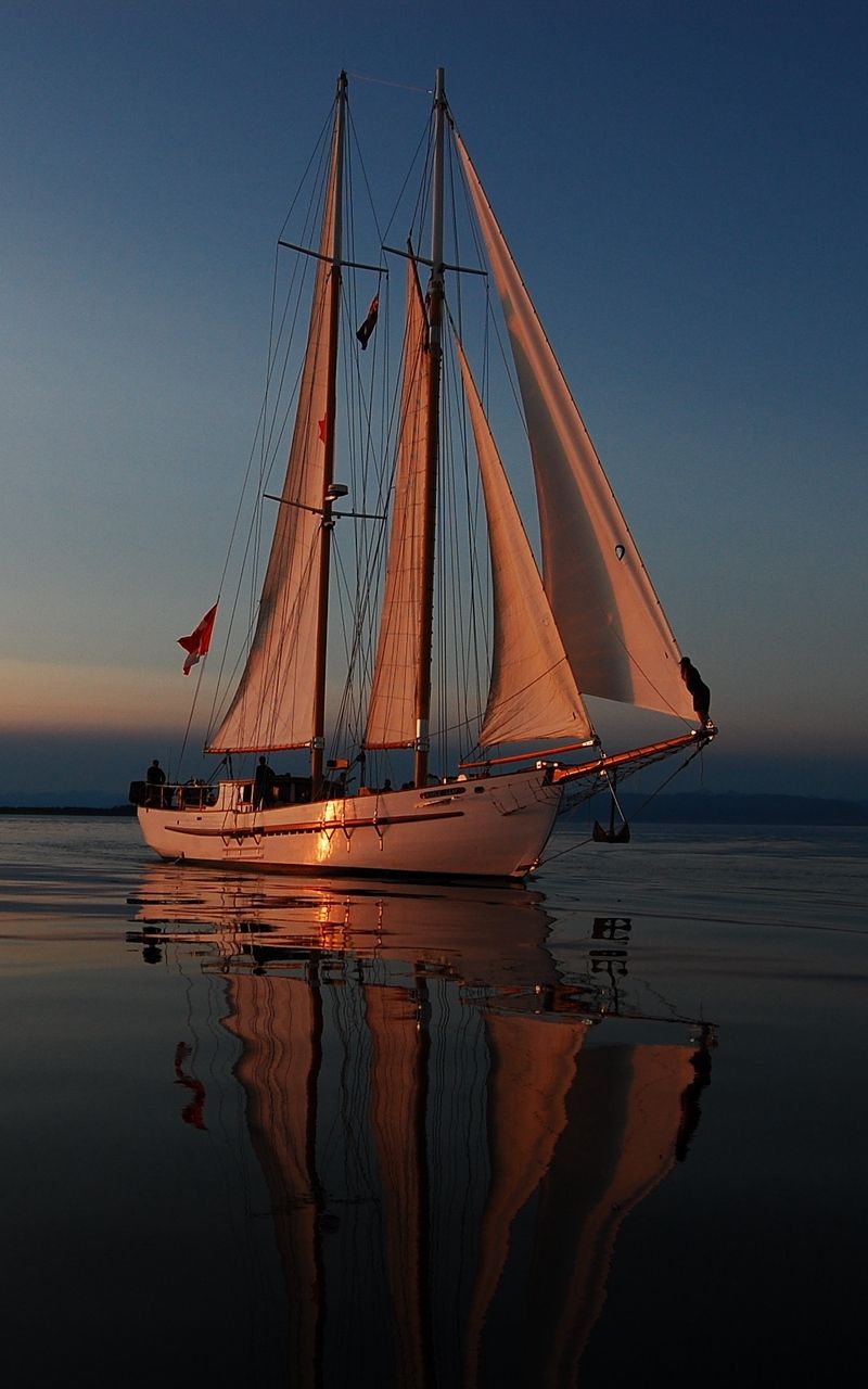 800x1280  800x1280 Обои море, вечер, яхта, отблески заката, паруса, отдых,  путешествие | Катание на лодке, Яхта, Парусники