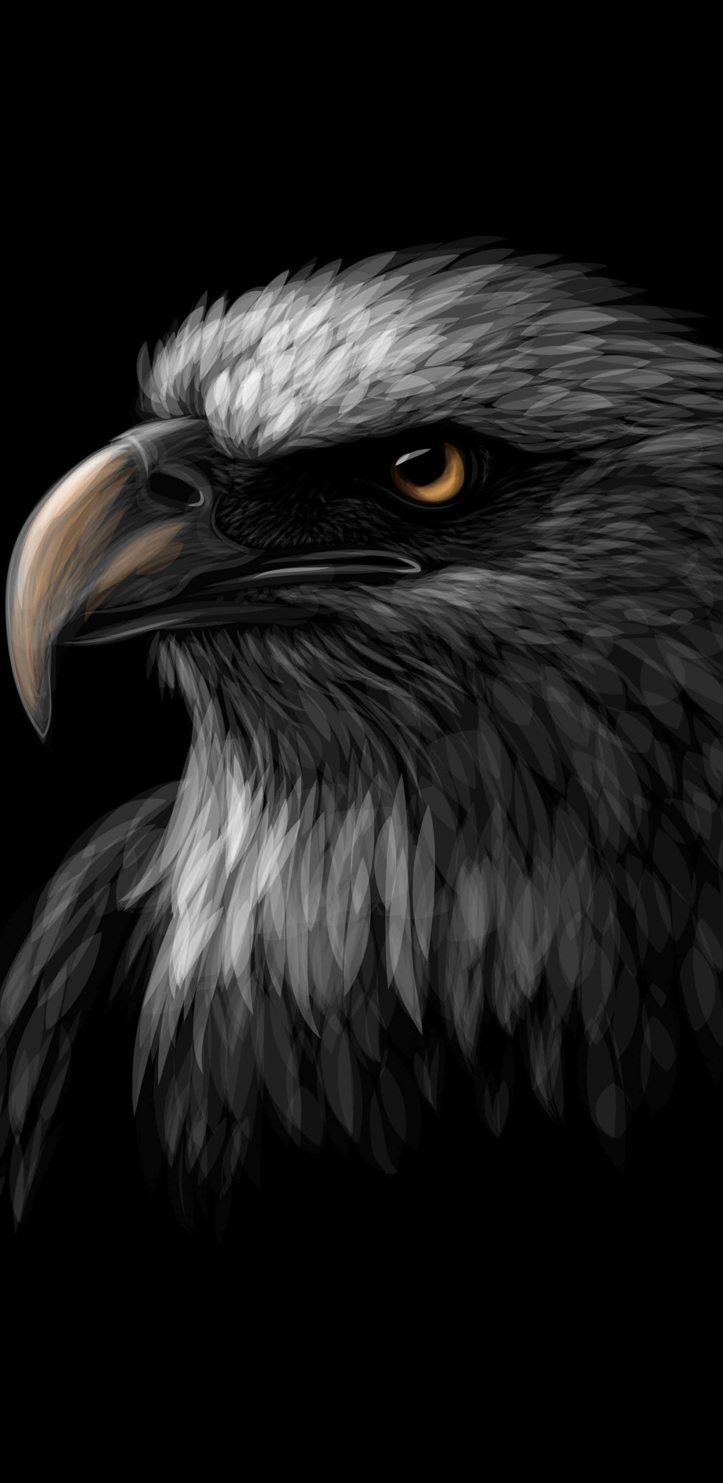 1443x2960  Орел обои на телефон - 68 фото