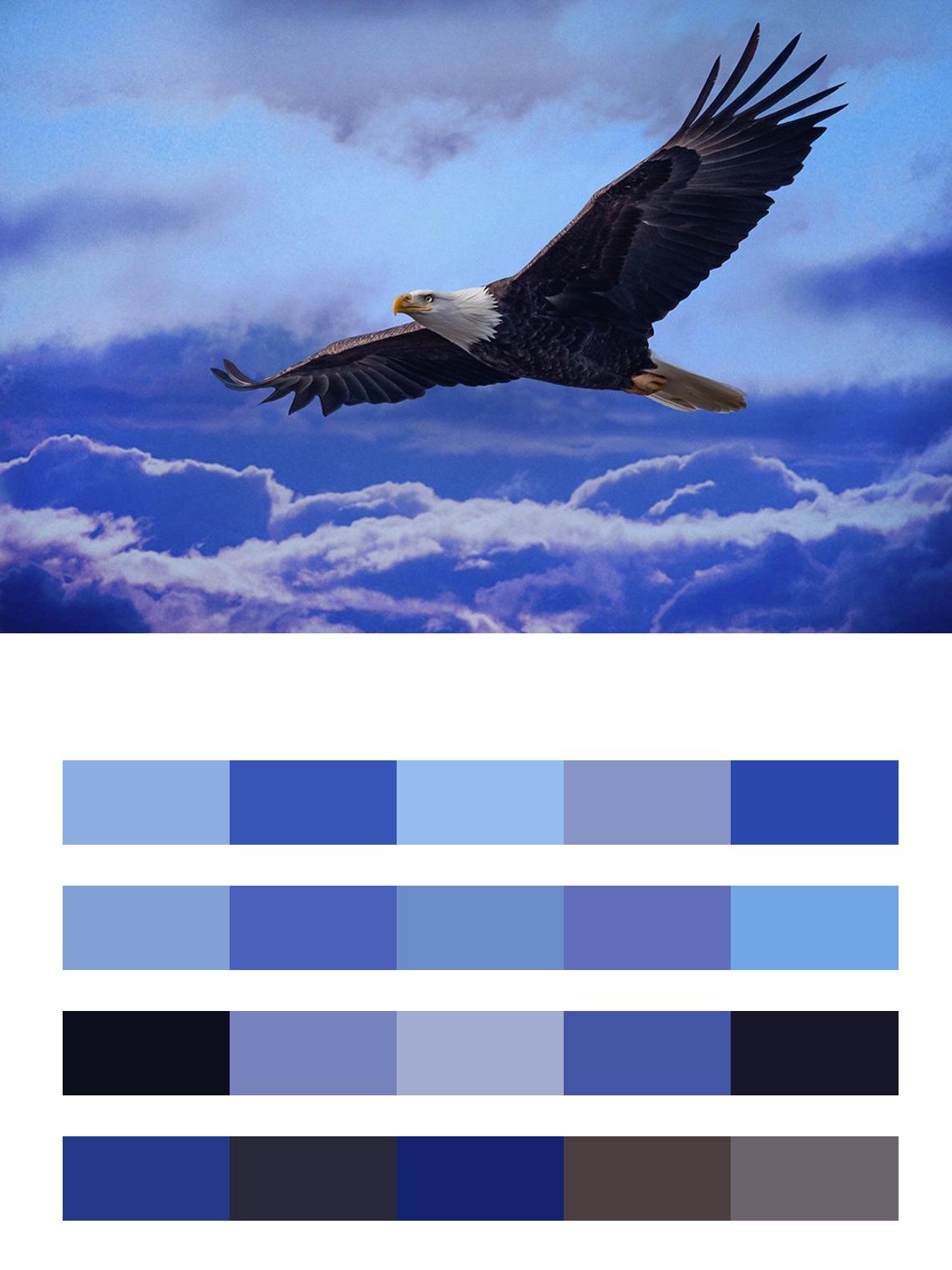 1140x1520  Орел обои на телефон - 68 фото