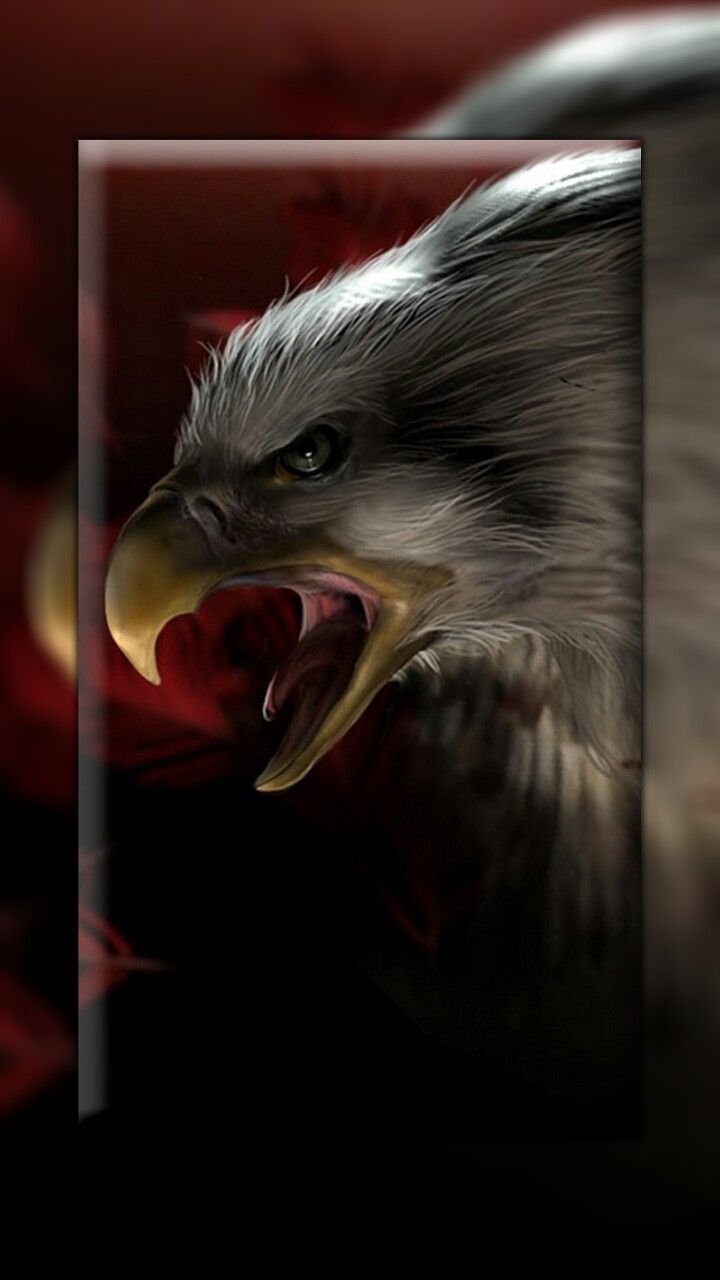 720x1280  Скачать Орел жить обои [APK] v1.2 на Андроид бесплатно