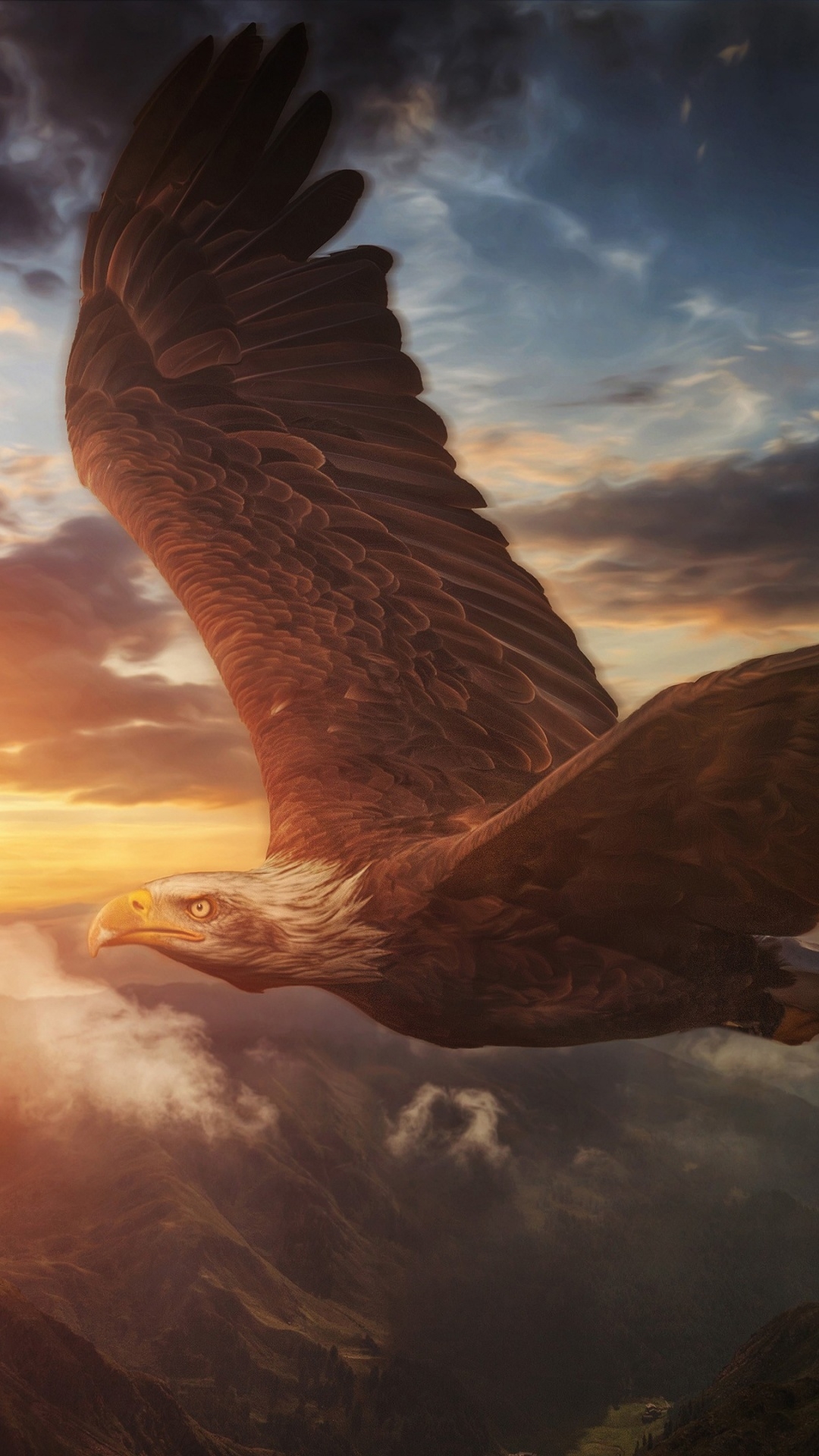 1080x1920  Орел на заставку телефона - фото и картинки abrakadabra.fun