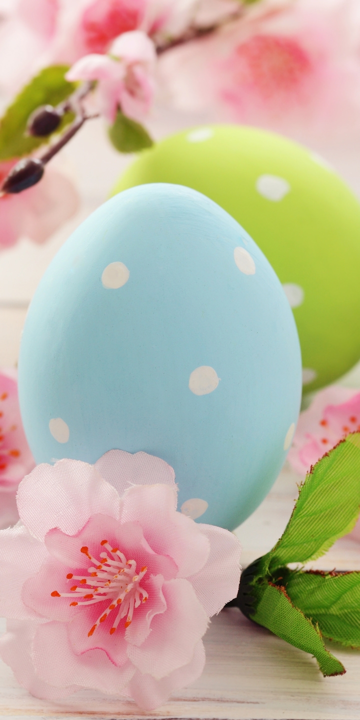 720x1440  Скачать обои и картинки пасха, яйца, цветные, крашеные, ветки, цветы,  розовый, голубой, зелёный для рабочего стола в разрешении 720x1440