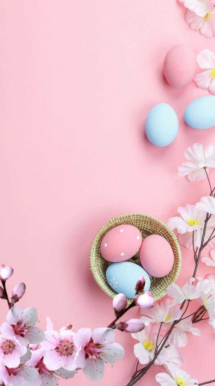 736x1320  Весна.Пасха.Праздник. Христос воскрес! Воистину  воскрес!Поздравляю.Открытка.Сторис. Фотофон.Обои.… | Happy easter pictures,  Easter wallpaper, Happy easter wallpaper
