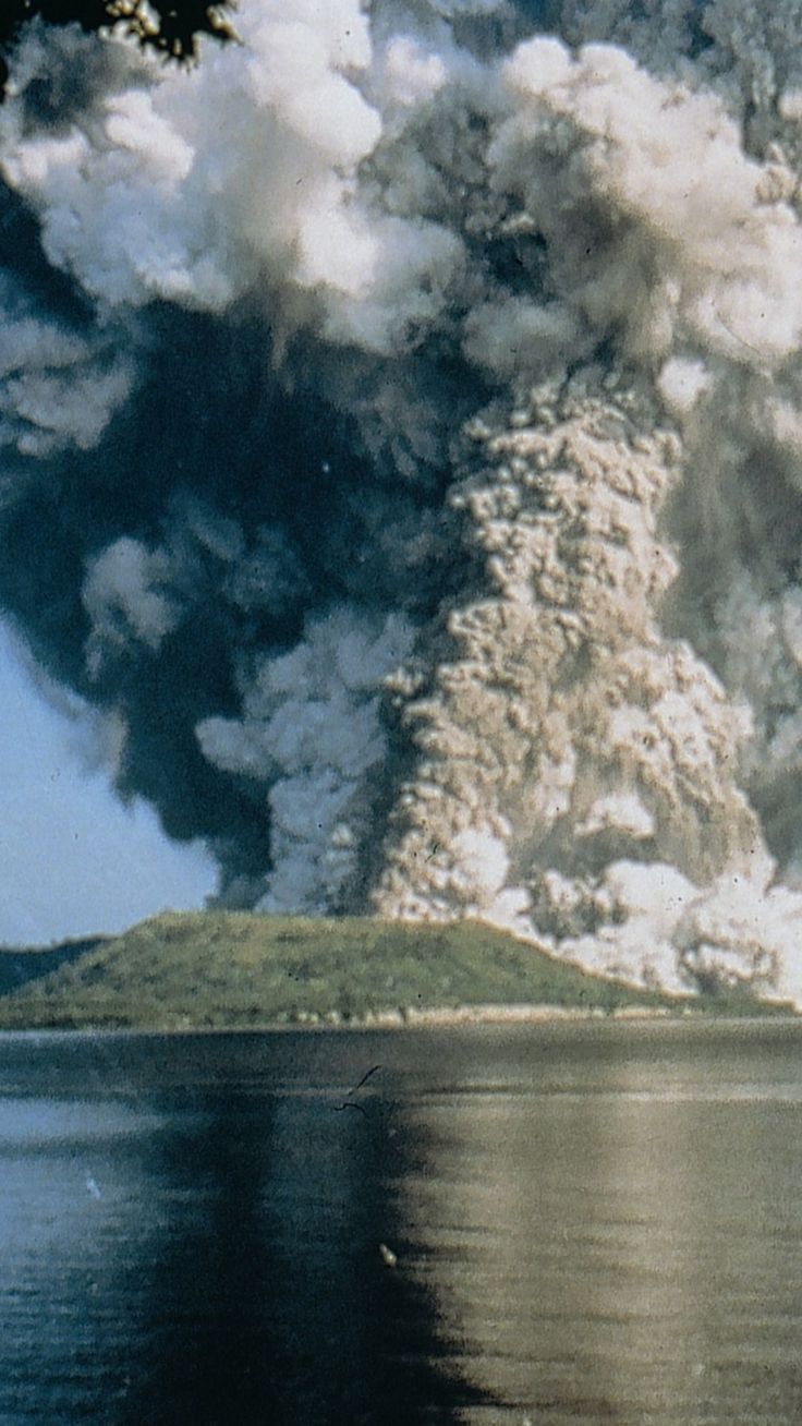 736x1308  Китайские Новогодние Пельмени Мобильные Обои изображение_Фото номер  400895990_JPG Формат изображения_ru.lovepik.com