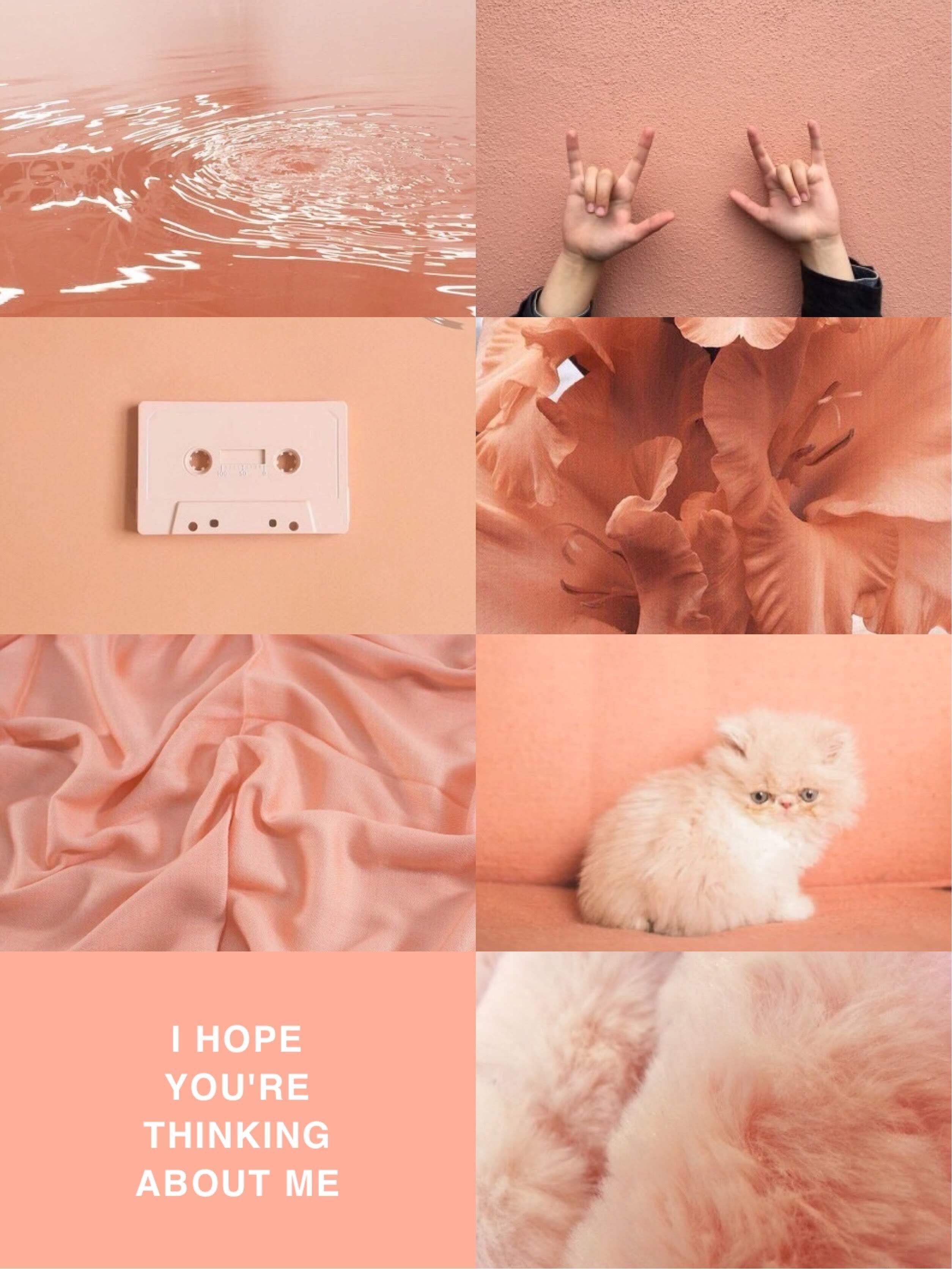 2509x3345  Обои персикового цвета на телефон - 71 фото