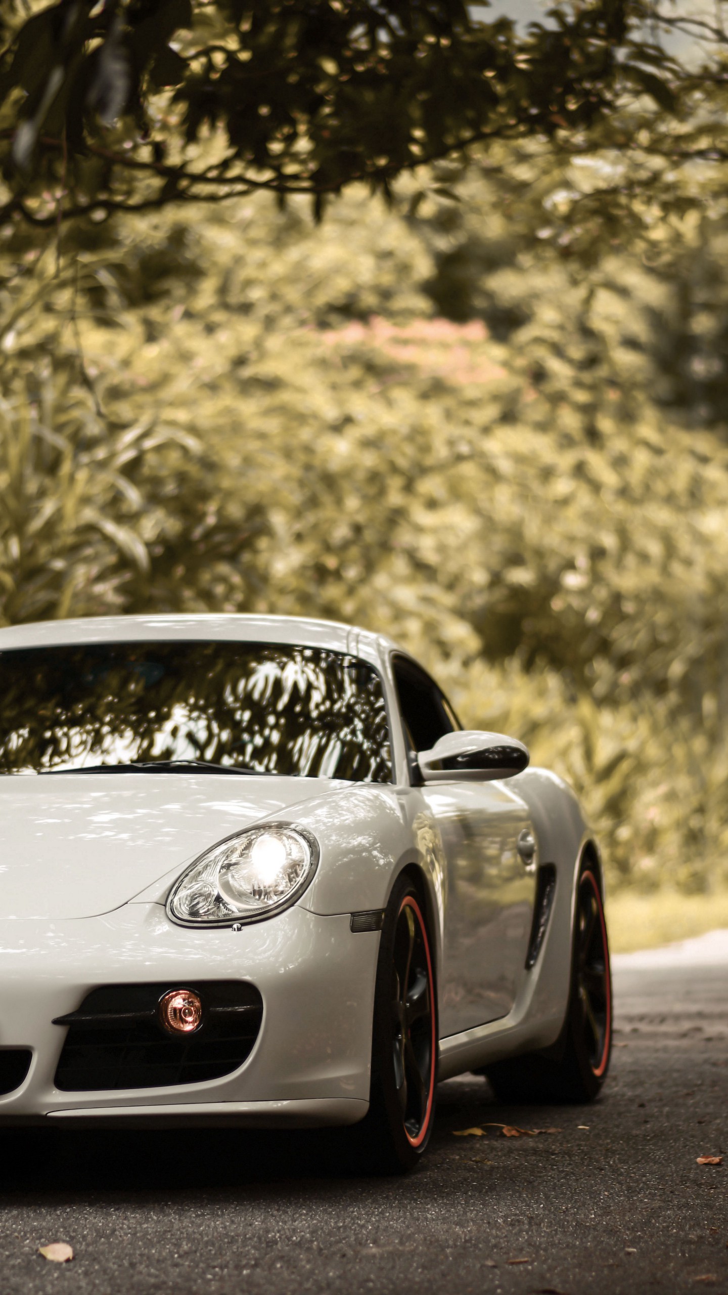 1440x2560  Обои на телефон porsche cayman s, porsche, машина, спорткар, белый, вид  спереди, асфальт - скачать бесплатно в высоком качестве из категории  \"Машины\"