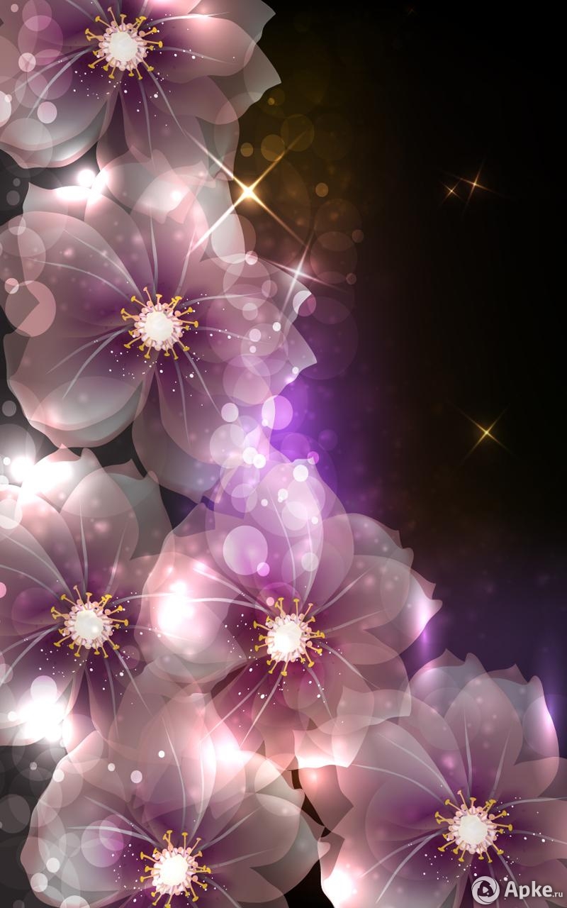 800x1280  Самые красивые обои на андроид - скачать бесплатно