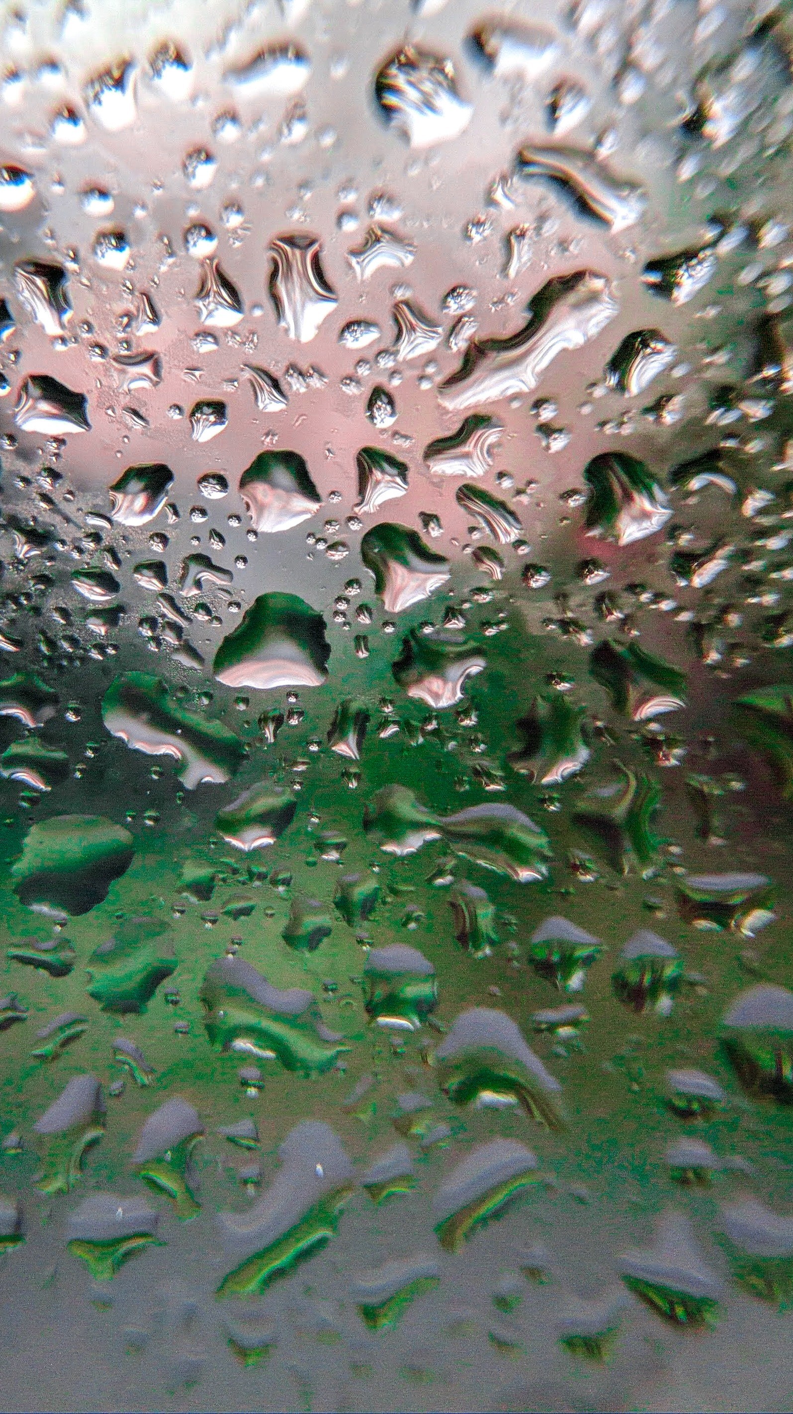 1595x2844  Обои на телефон | Пикабу