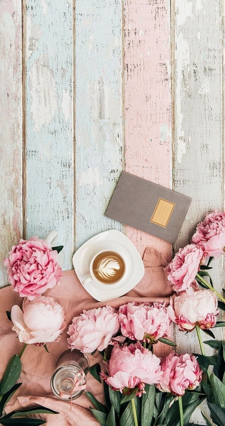 736x1389  Пудровые обои на телефон - 63 фото