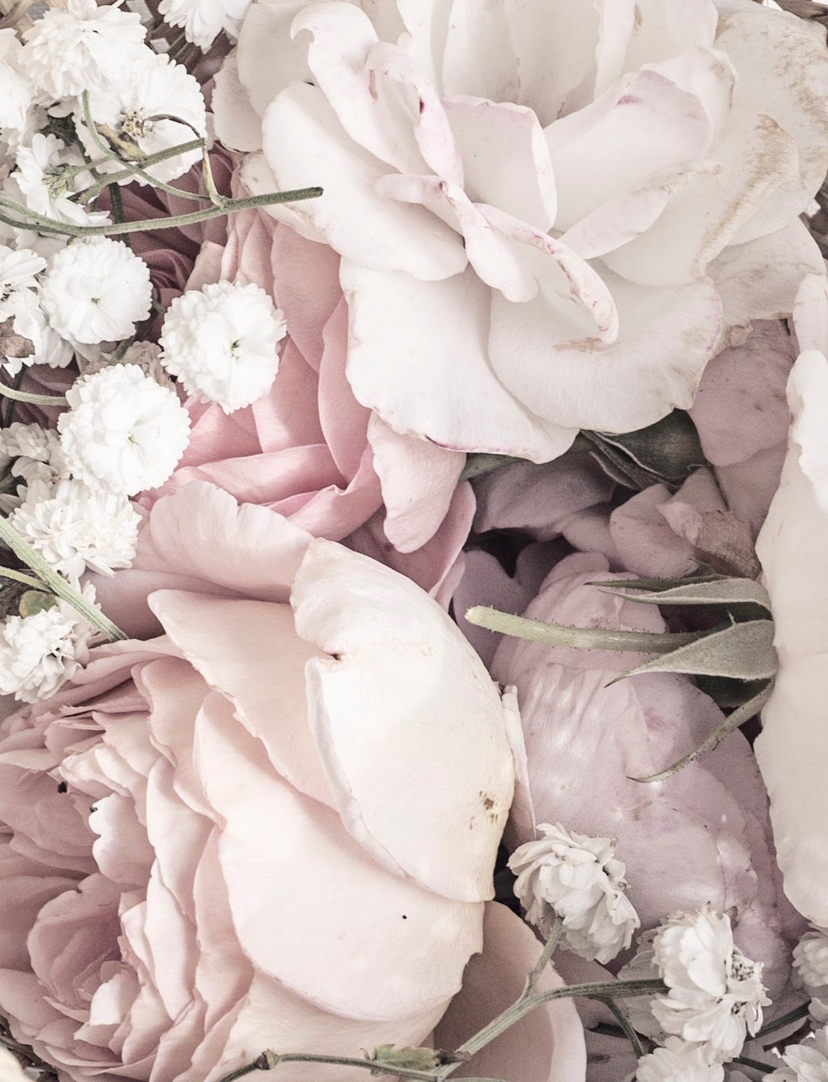 1200x1567  Серо розовые обои на телефон - 62 фото