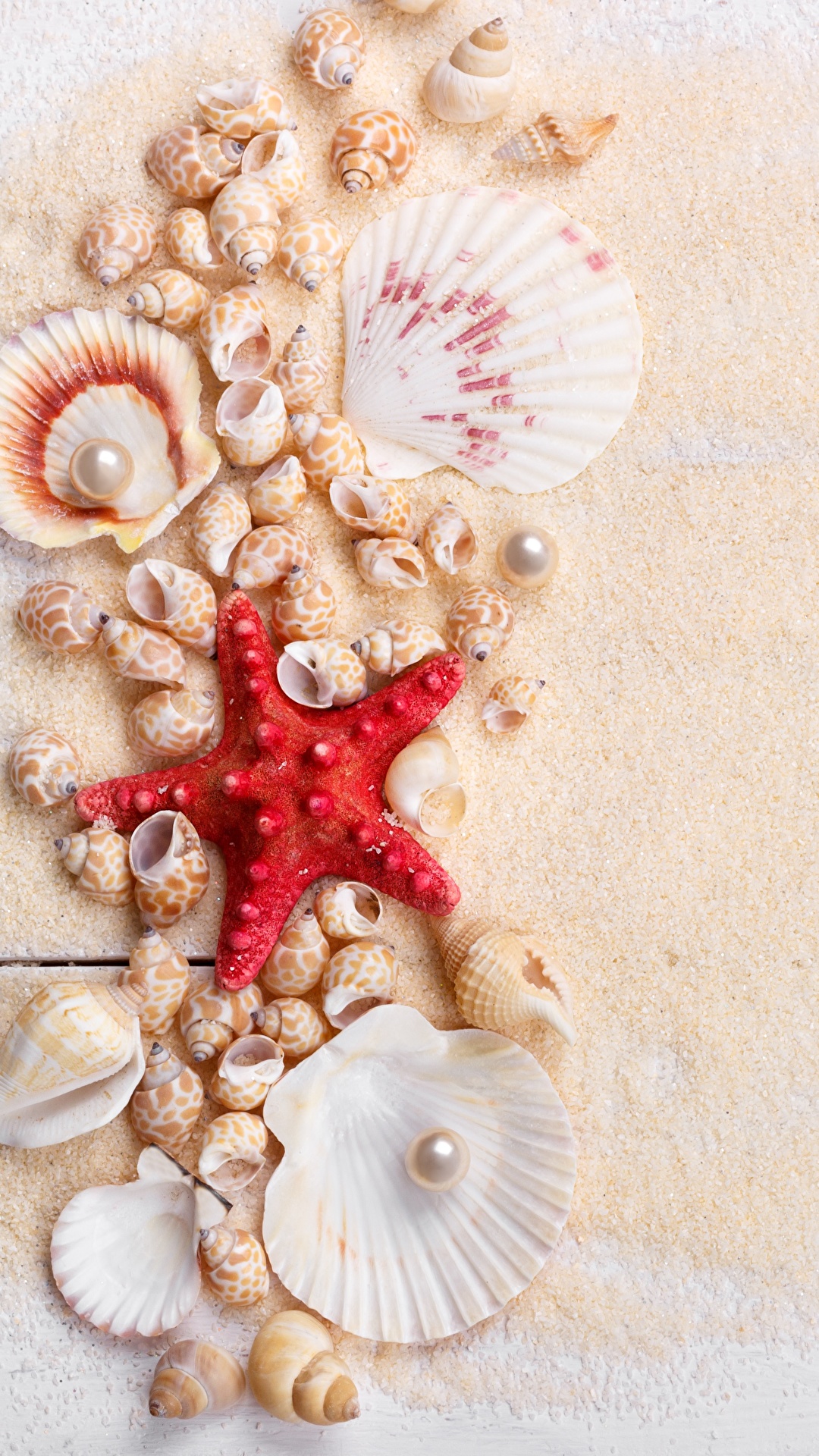 1080x1920  Photo Starfish Pearl Sand Shells boards 1080x1920