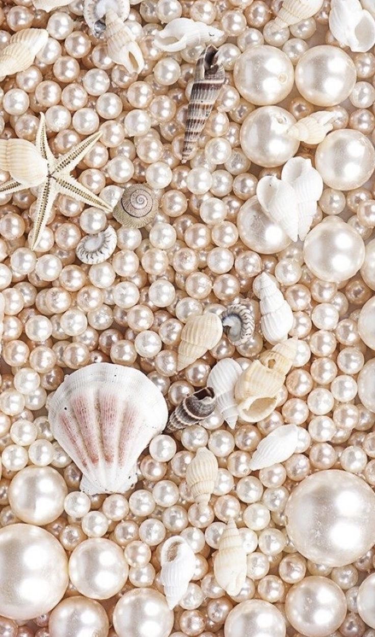 736x1248  Скачать Mорская ракушка Живые Обои APK для Android