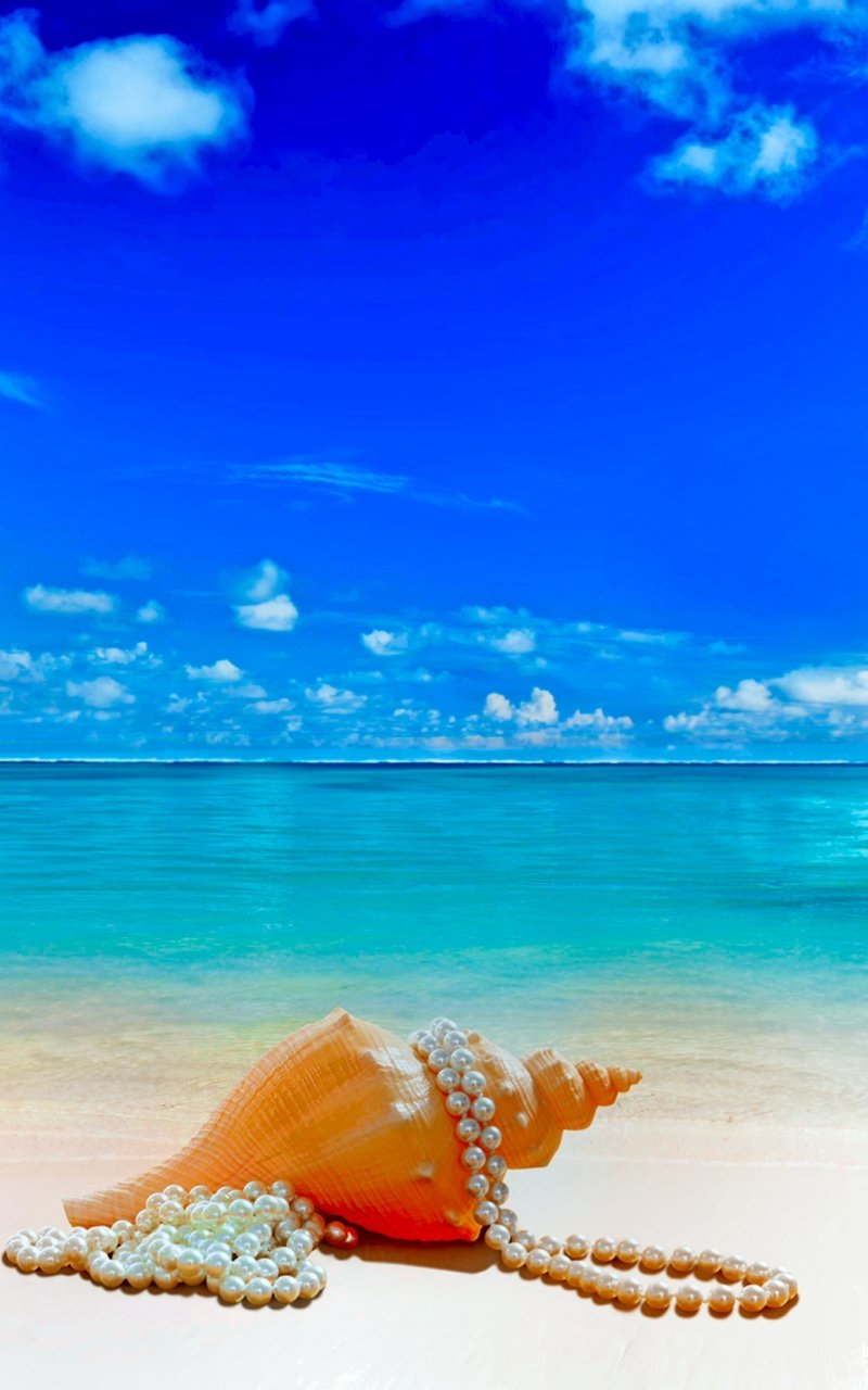 800x1280  Pin en фотофоны